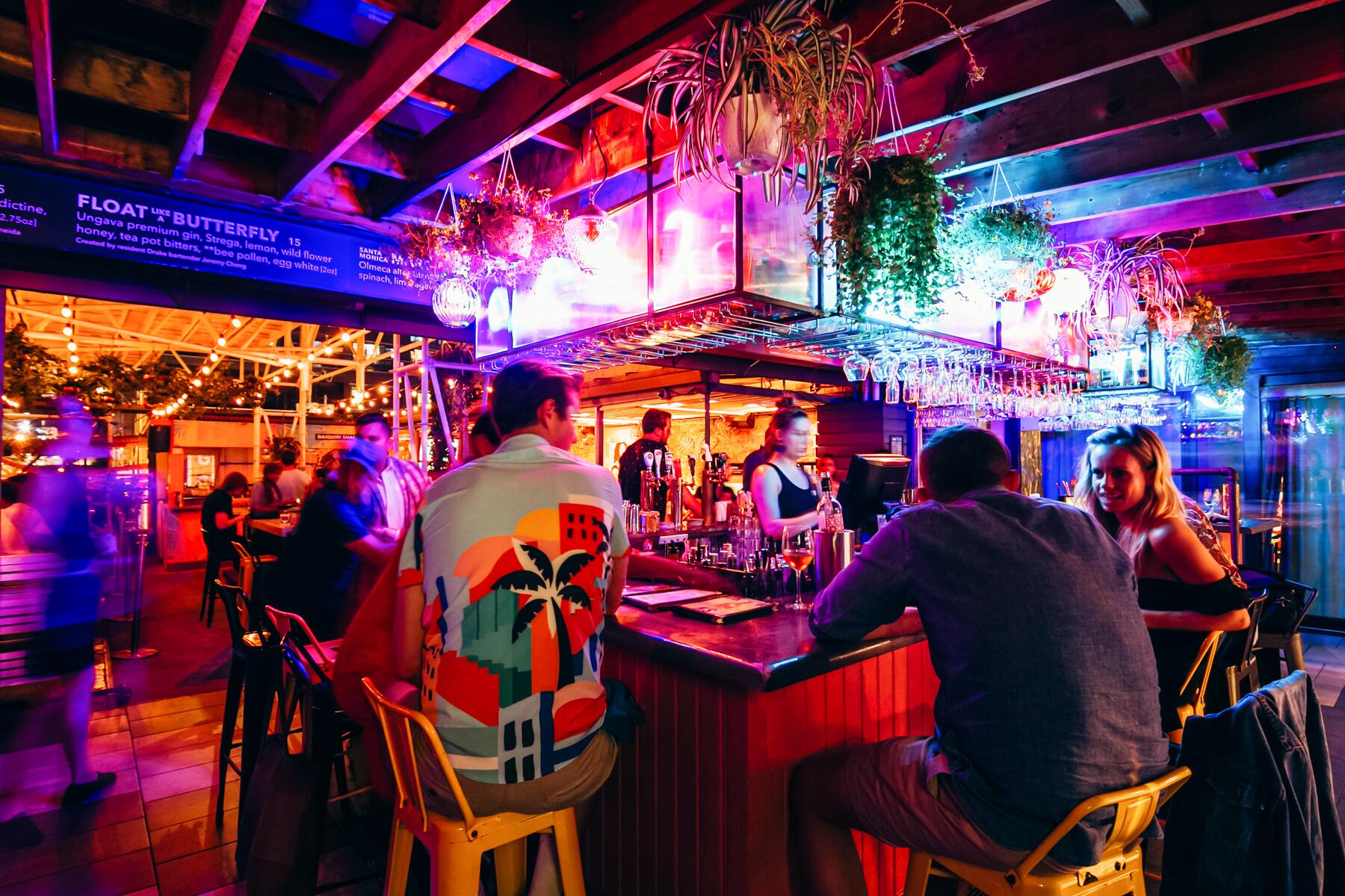 01_BestBarsandNightlifeToronto__TheDrakeHotel_1.) The Drake Hotel Sky Yard 2 - Louisa Nicolaou