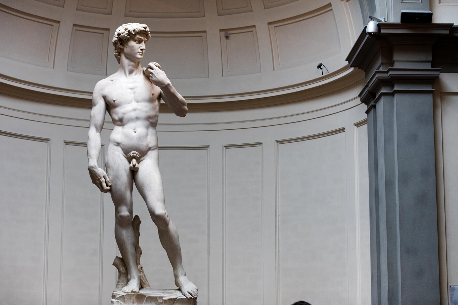 <a href='https://www.fodors.com/world/europe/italy/florence/experiences/news/10-museums-in-florence-you-absolutely-must-visit#'>From "10 Museums in Florence You Absolutely Must Visit: Galleria dell’Accademia"</a>