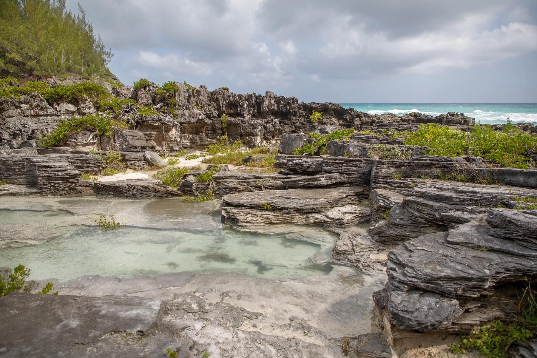 03_NaturalWondersInBermuda__SpittalPond_3 Rohan Shastri_Spittal Pond_Bermuda Tourism Authority