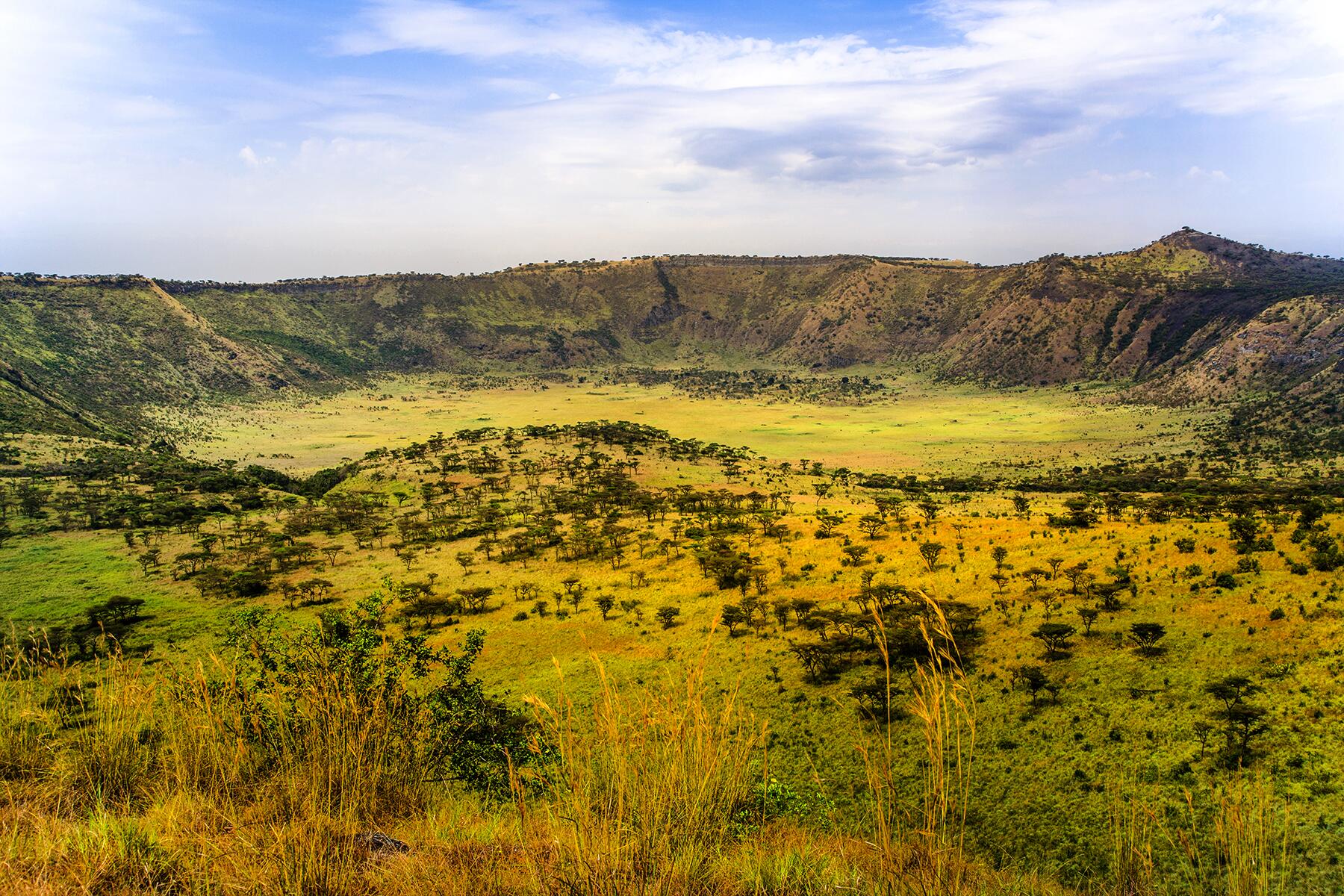05_ExtremeSafari__LeopardTragedy_shutterstock_628670177