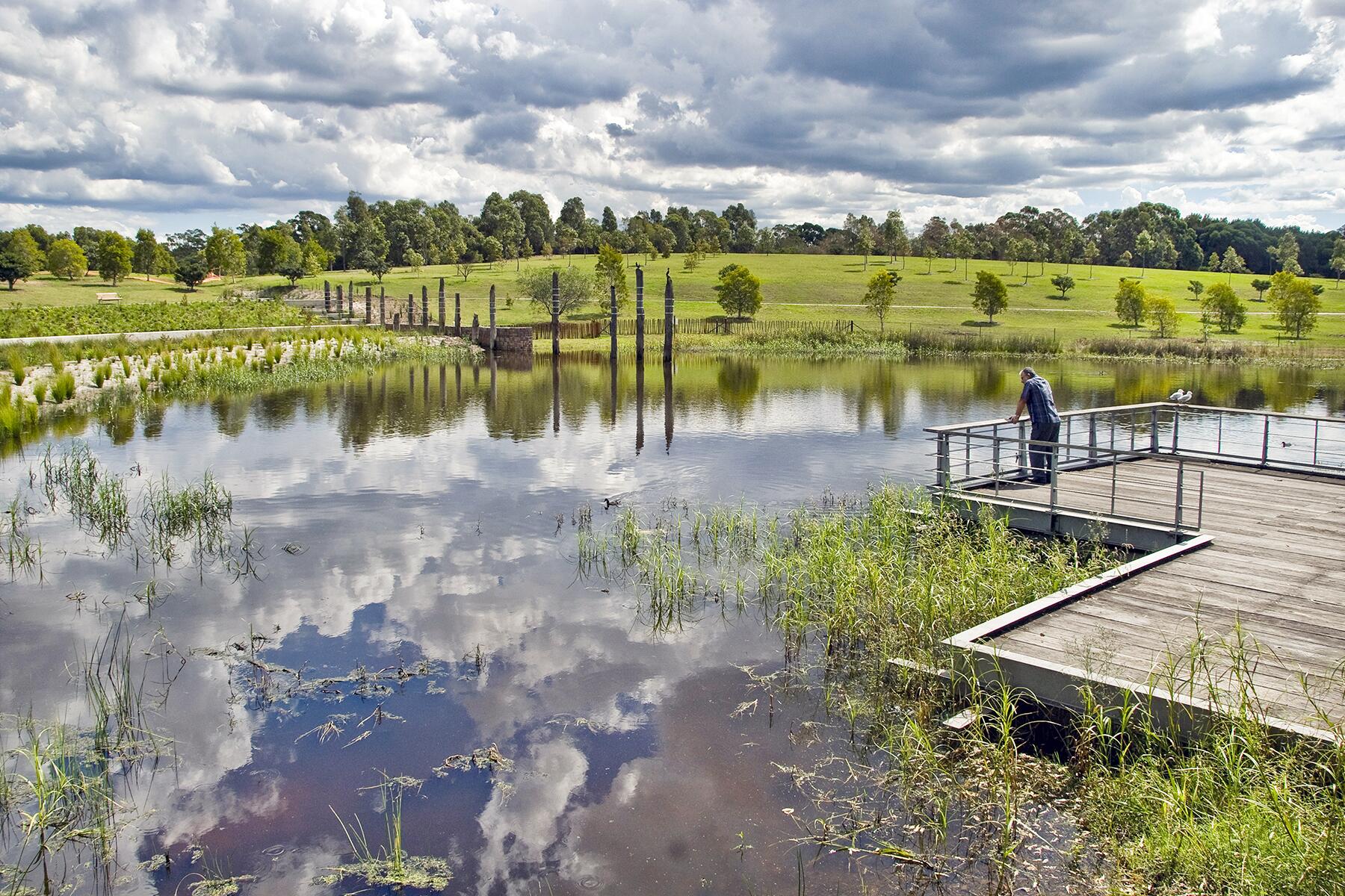 05_UrbanParks__SydneyParkWetlands_5 1 _DSC5109 Sydney Park Wetlands