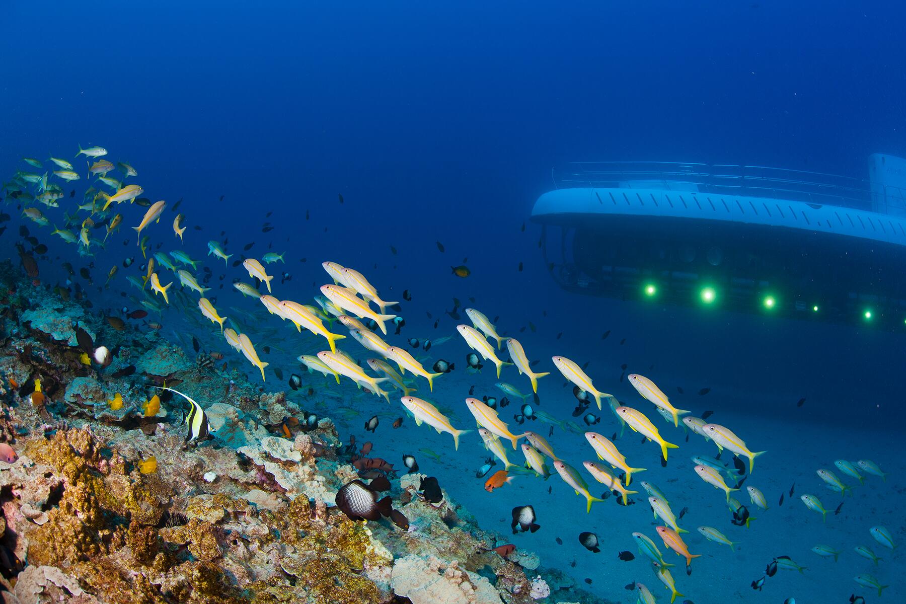 06_RidiculousAdventureActivities__Submarining_6 AtlantisScubaMaui__21