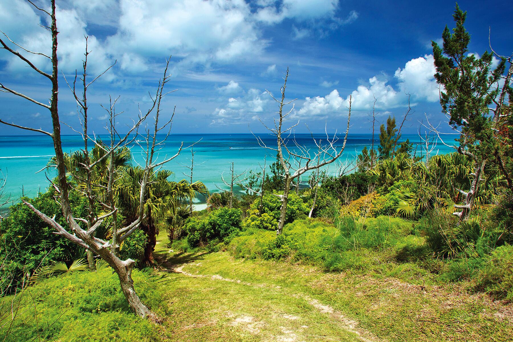 07_NaturalWondersInBermuda__HogBayPark_7 HogBayPark_Bermuda Tourism Authority