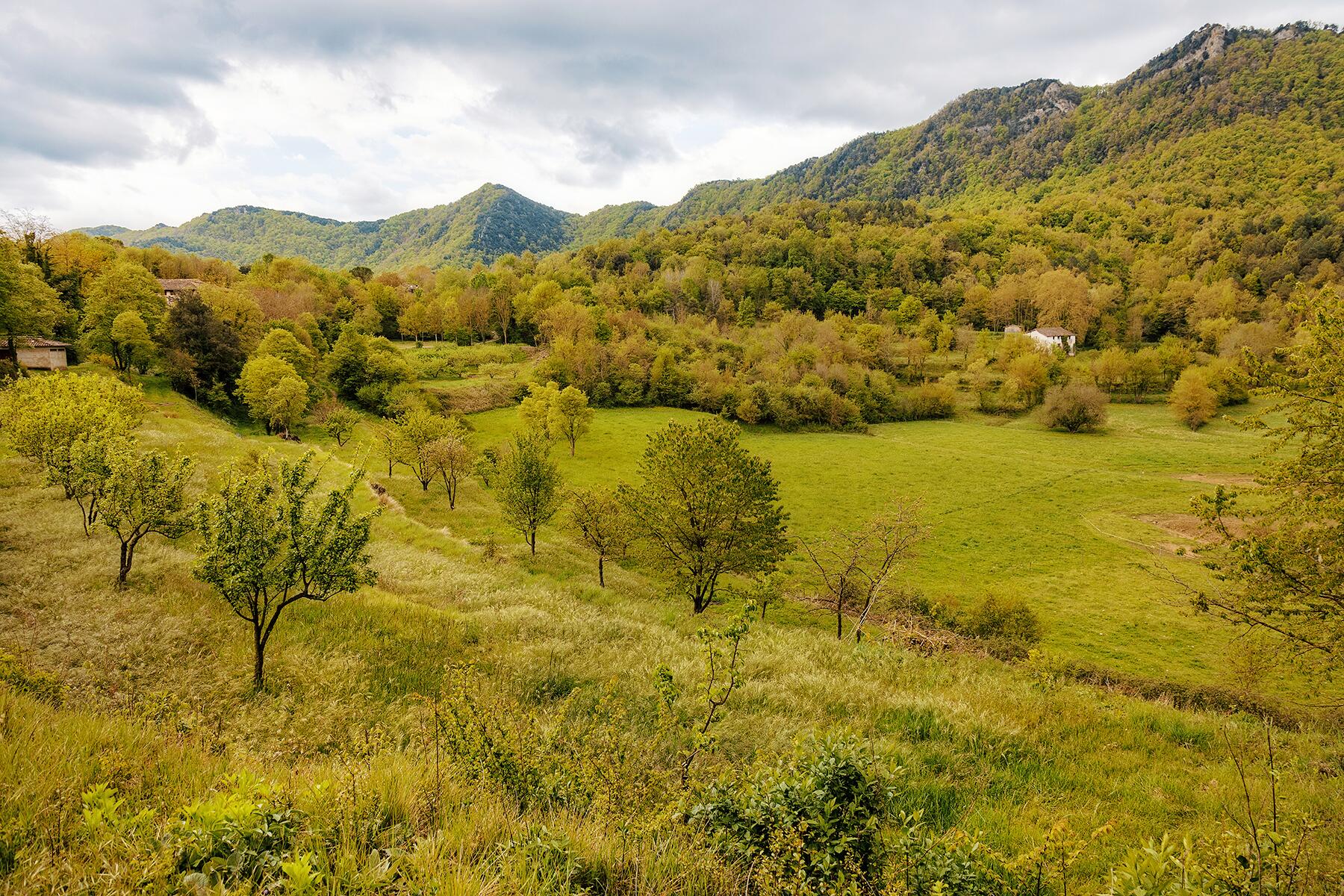 08_BestDayTripsBarcelona__ParcNaturalDeLaZonaVolcanica_shutterstock_1489362062