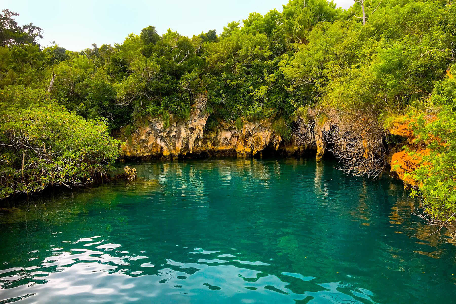 08_NaturalWondersInBermuda__WalsinghamNatureReserve_shutterstock_767199133