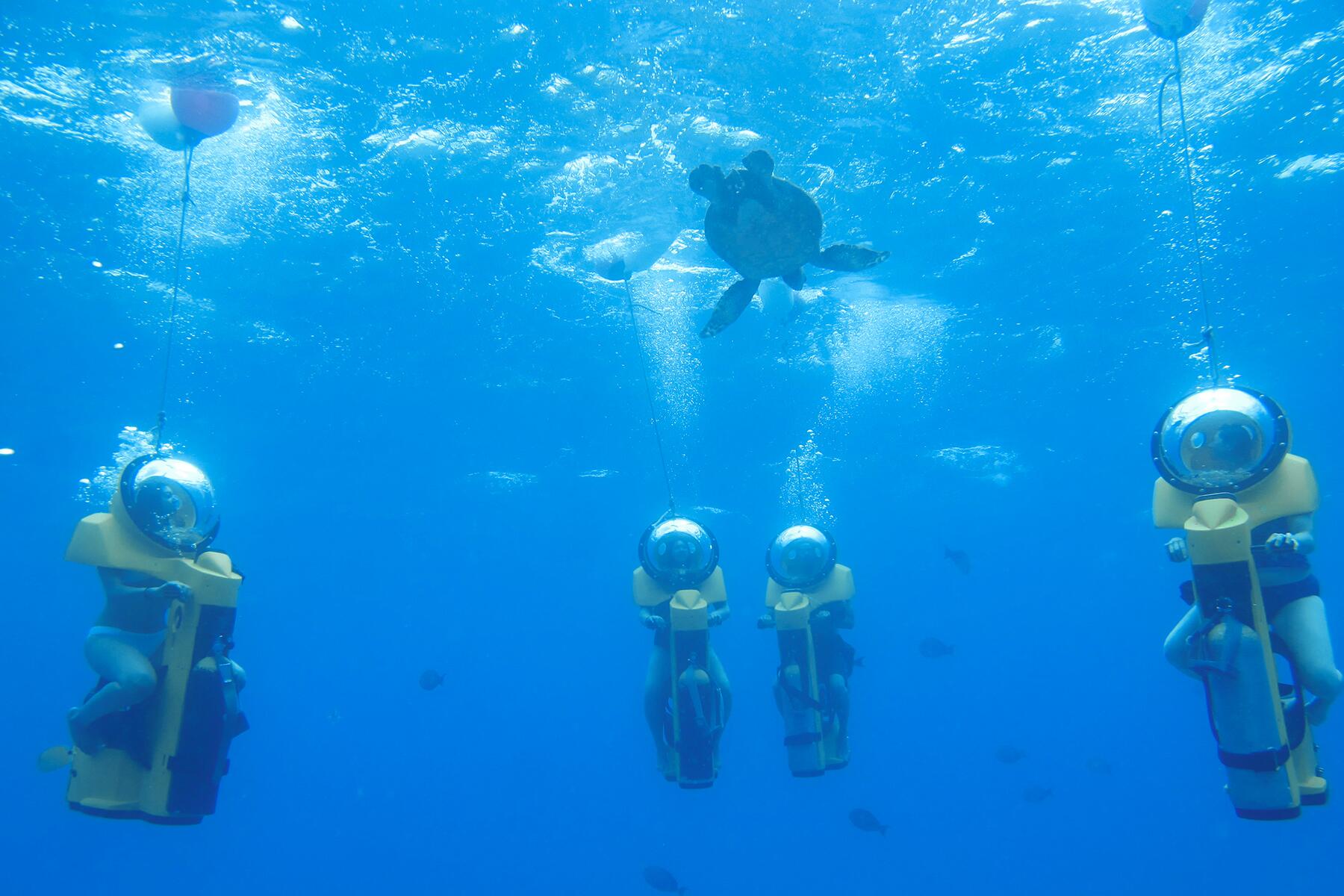 08_RidiculousAdventureActivities__UnderwaterScootering_8 IMG_3446