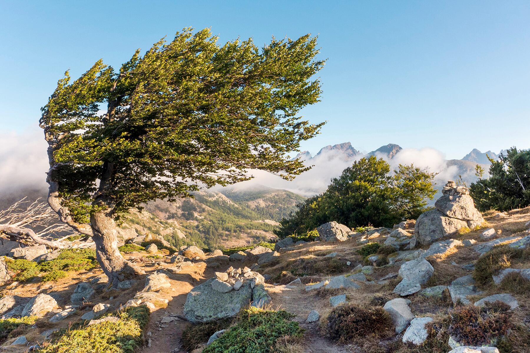 09_EuropehikingTrails__GR20_shutterstock_1358001596