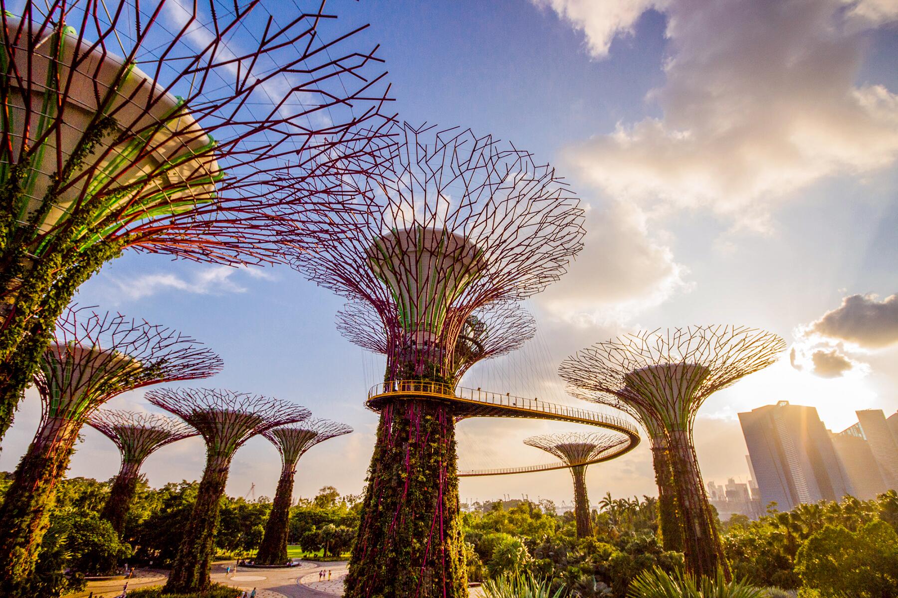 09_UrbanParks__GardensByTheBay_9 IMG_9080 - Credit Gardens By The Bay