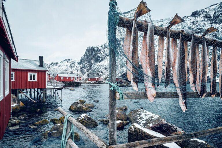 <a href='http://www.fodors.com/world/europe/norway/experiences/news/15-things-to-eat-and-drink-in-norway#'>From "15 Things to Eat and Drink in Norway"</a>