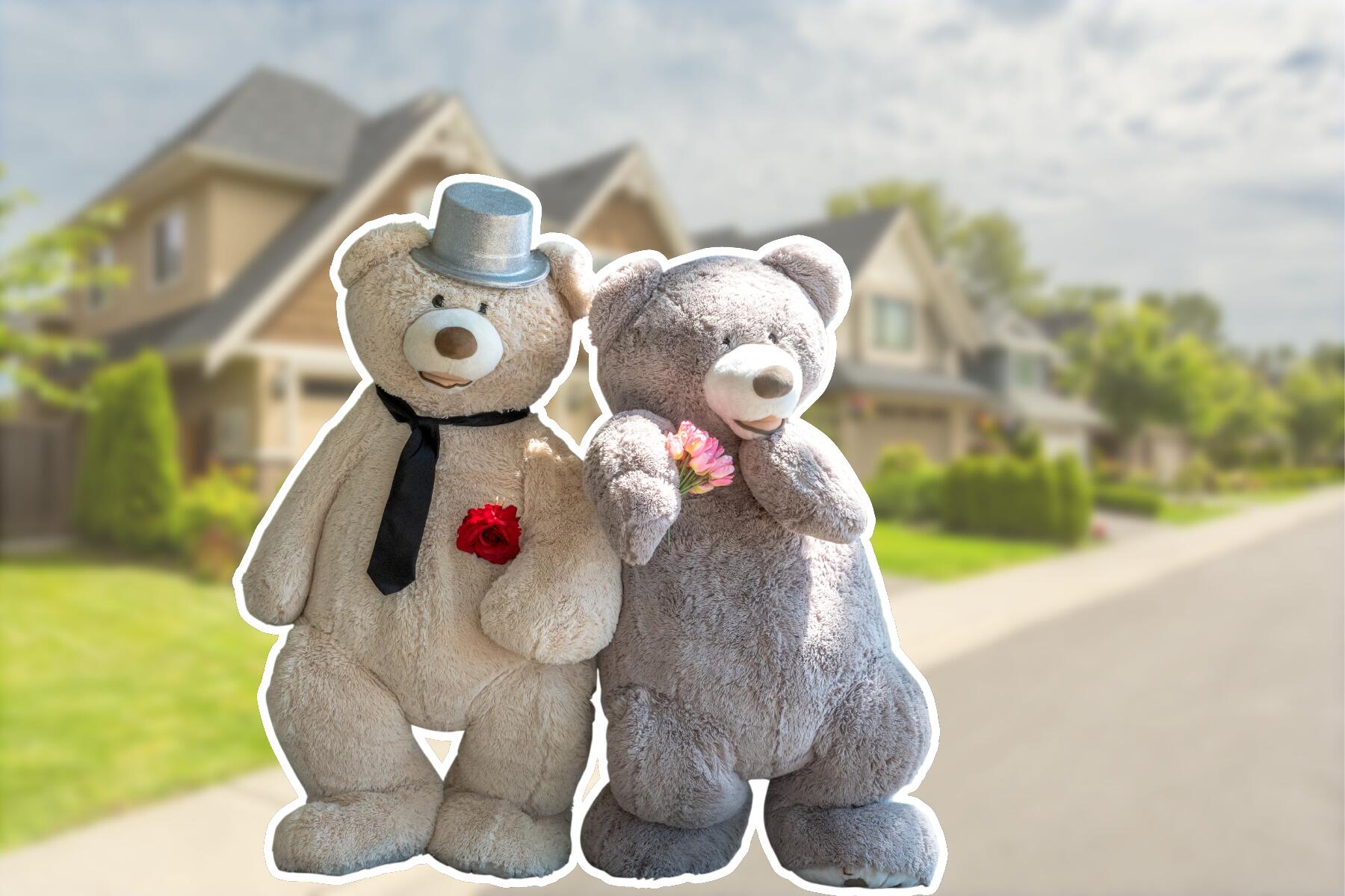 The Latest Must-Have Travel Accessory: Stuffed Animals for Adults