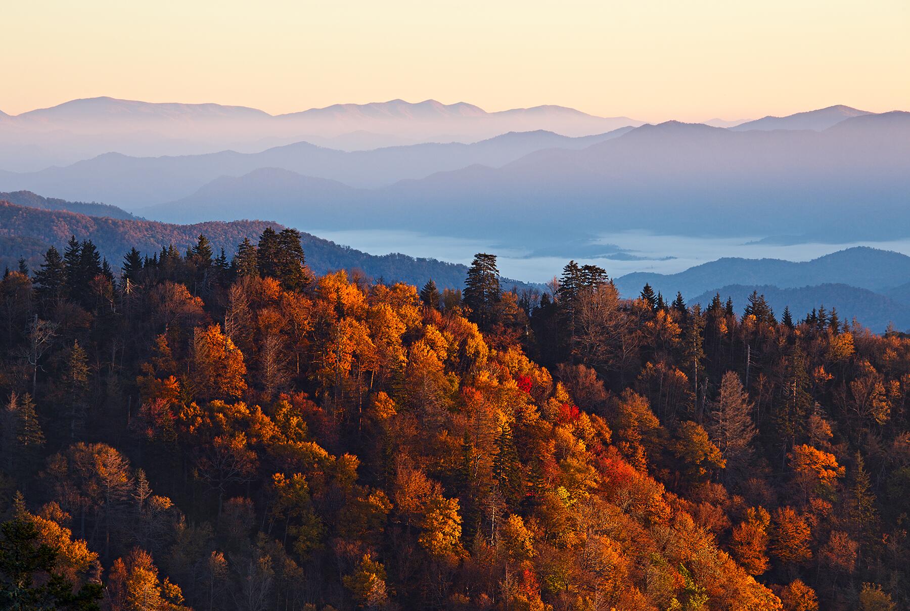 06_WorstEditorVacations__SmokyMountains_shutterstock_210688057