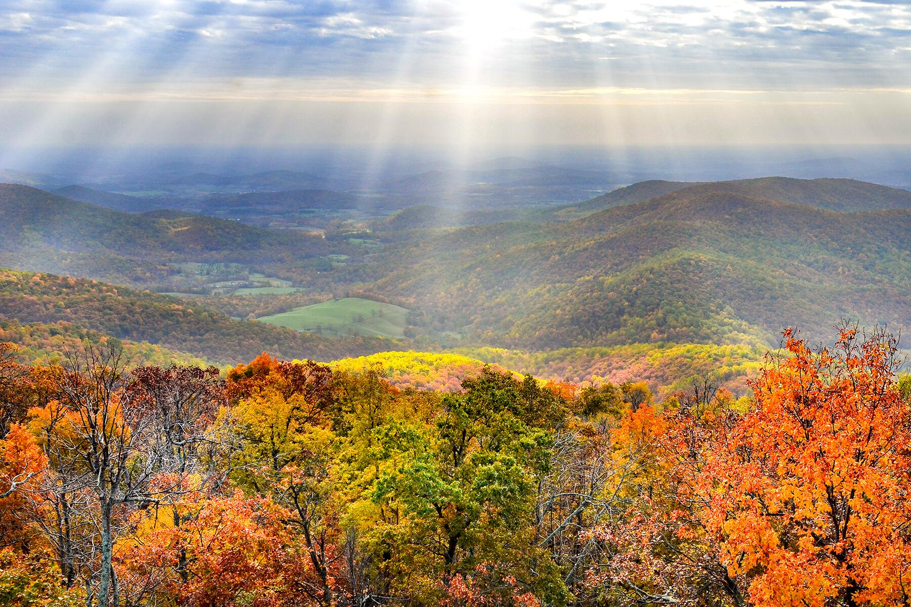 07_NationalParksLiveCams__ShenandoahNationalPark_shutterstock_1252155436