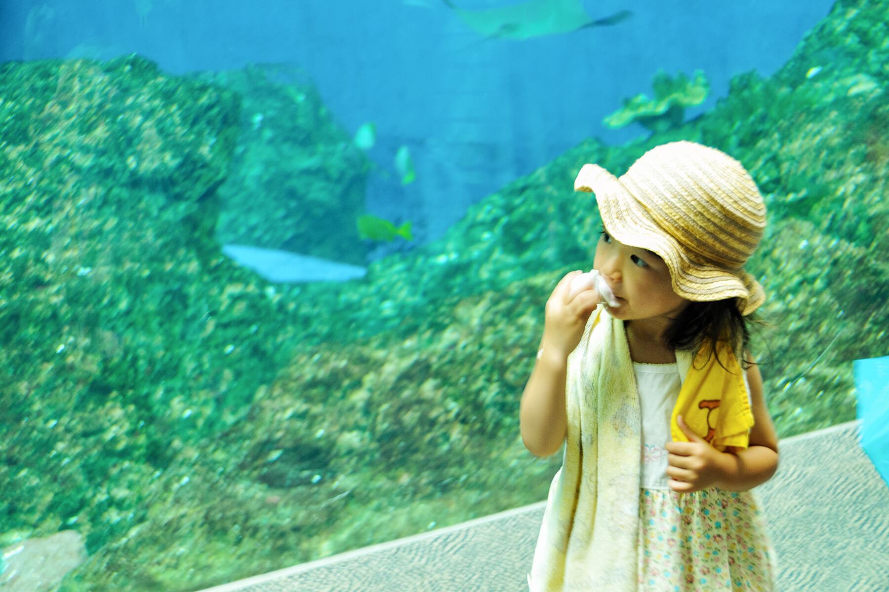 07_WorstEditorVacations__SeaWorld_7.) A_girl_at_Kamogawa_Seaworld
