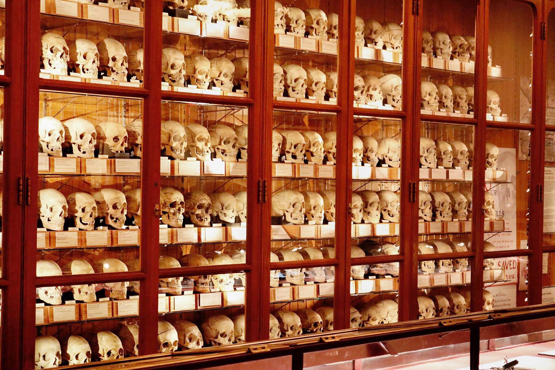 14_BizarreMuseum__TheMutterMuseum_14.) 54257096_10157065968054134_3997224881547640832_o