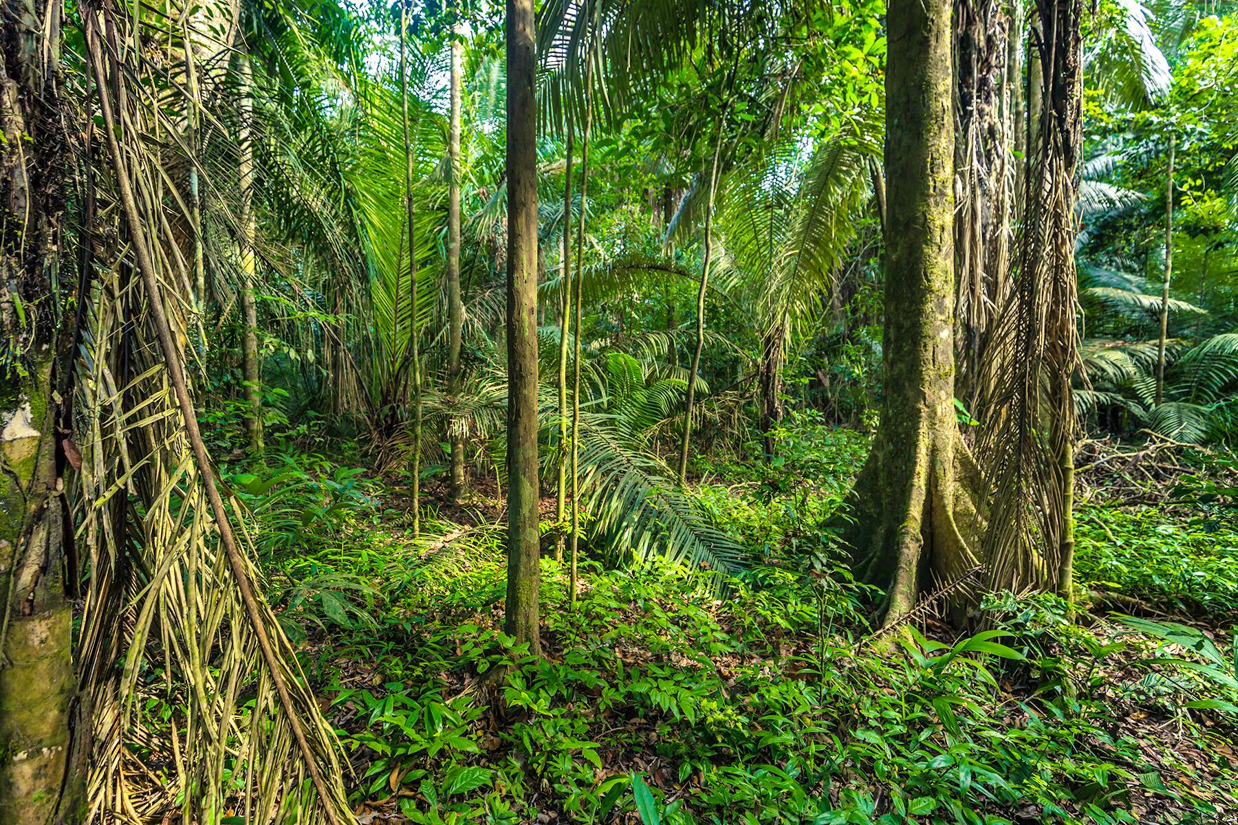 21_MostExtremePlaces__Amazon_shutterstock_756914251