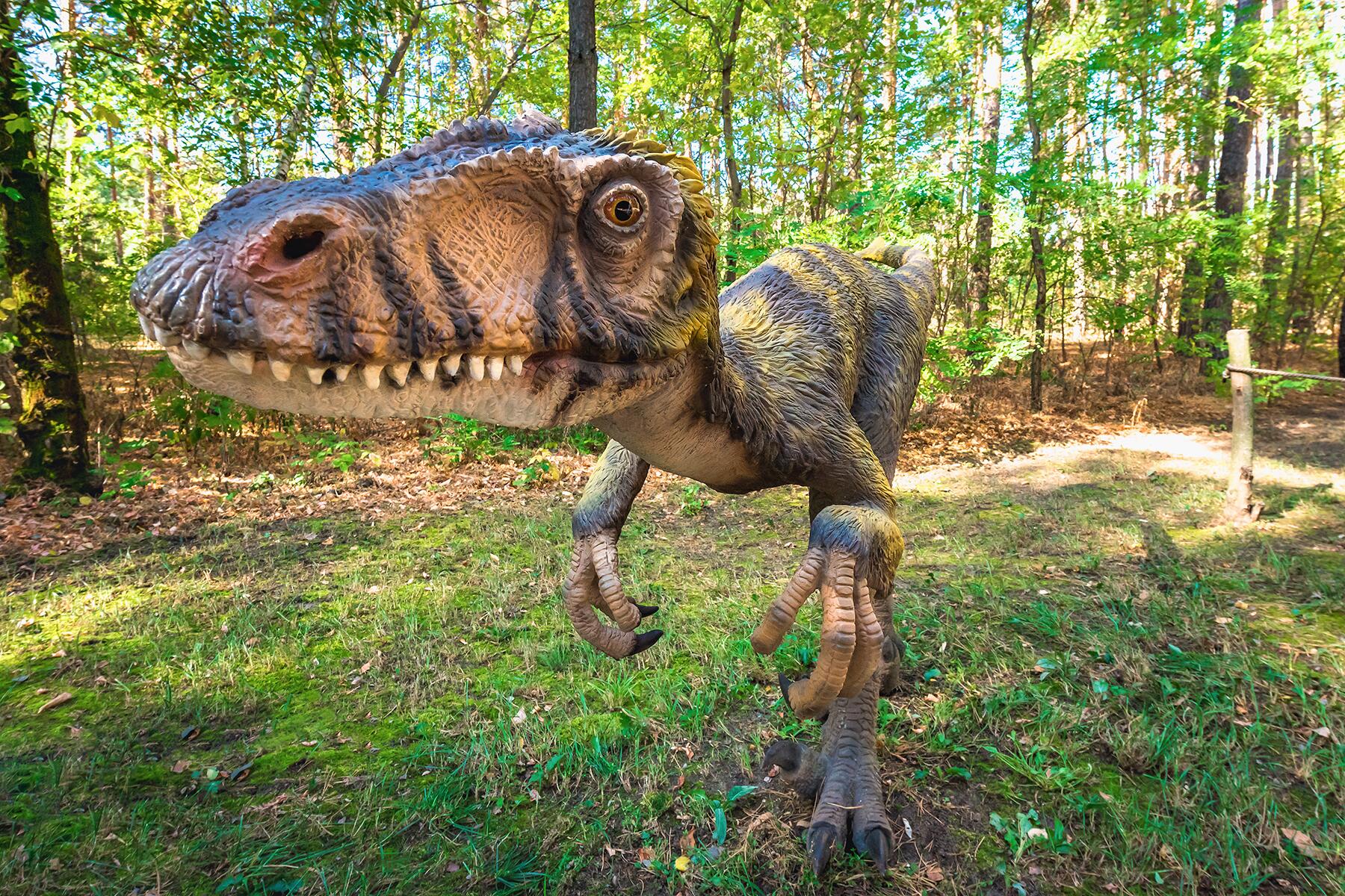 Paleoexhibit: Deinocheirus the magnificent