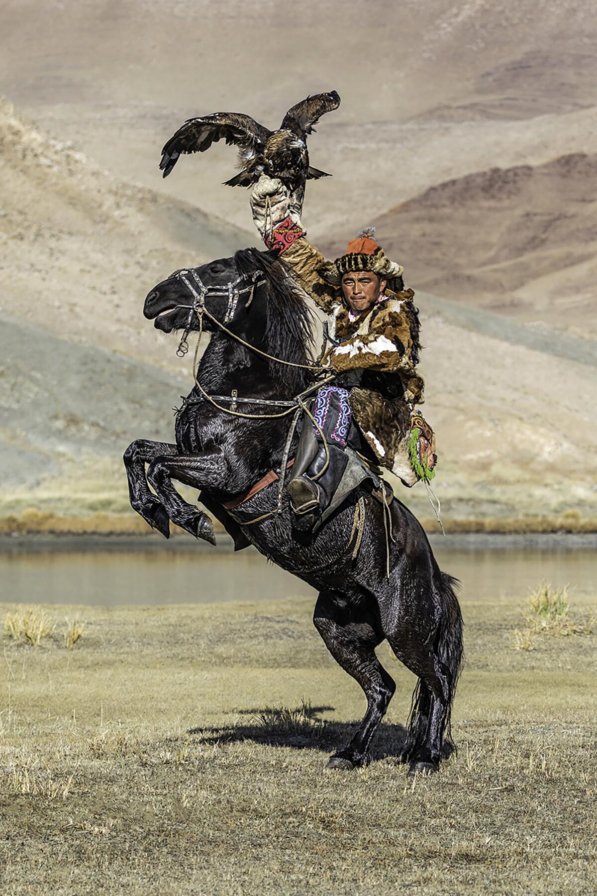 To The Eagle Hunter High To The East Incredible Photos of Mongolia’s Eagle Hunters