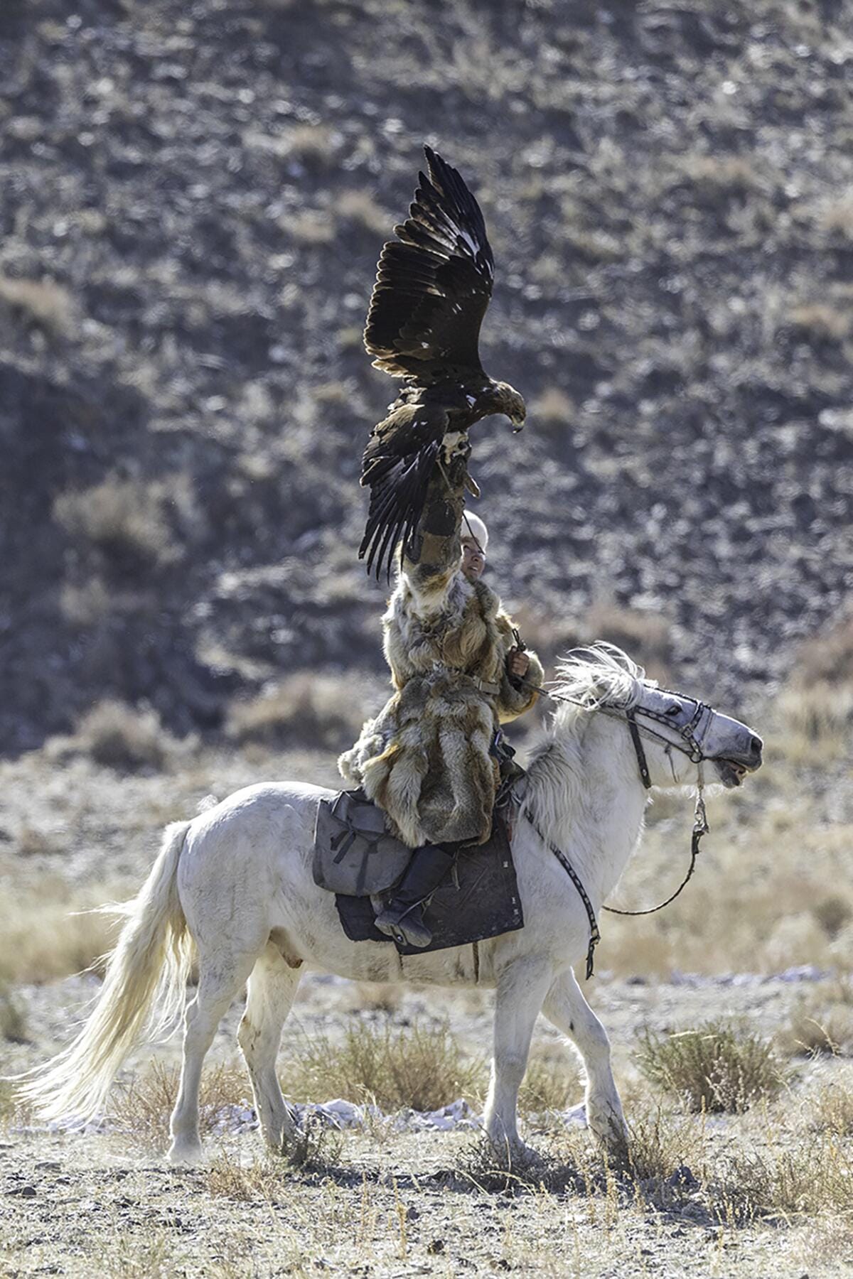 Mongolia Eagle Hunters_08