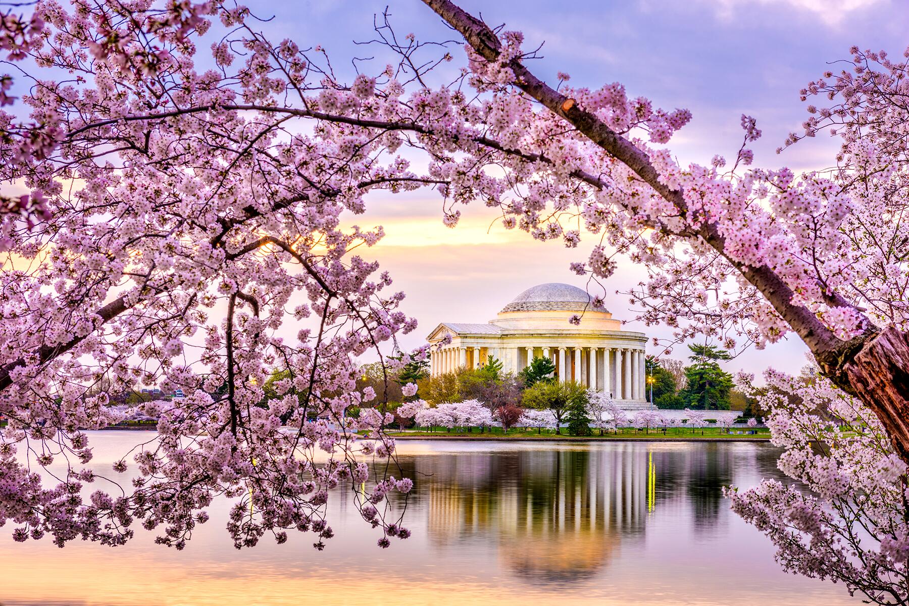 47_50States__Washington_iStock-1089341100