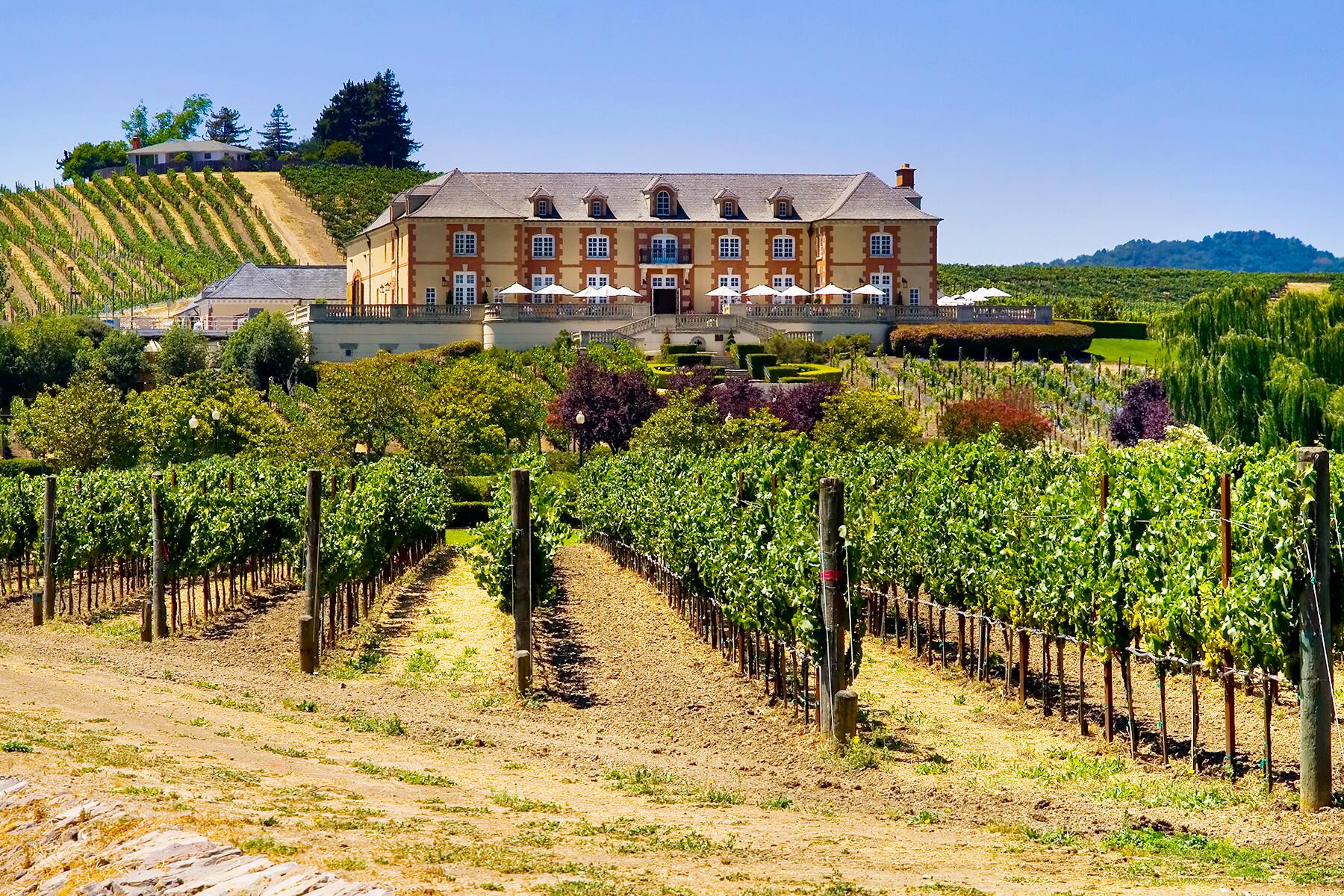 The Perfect 3-Day Weekend Road Trip Itinerary to Napa Valley