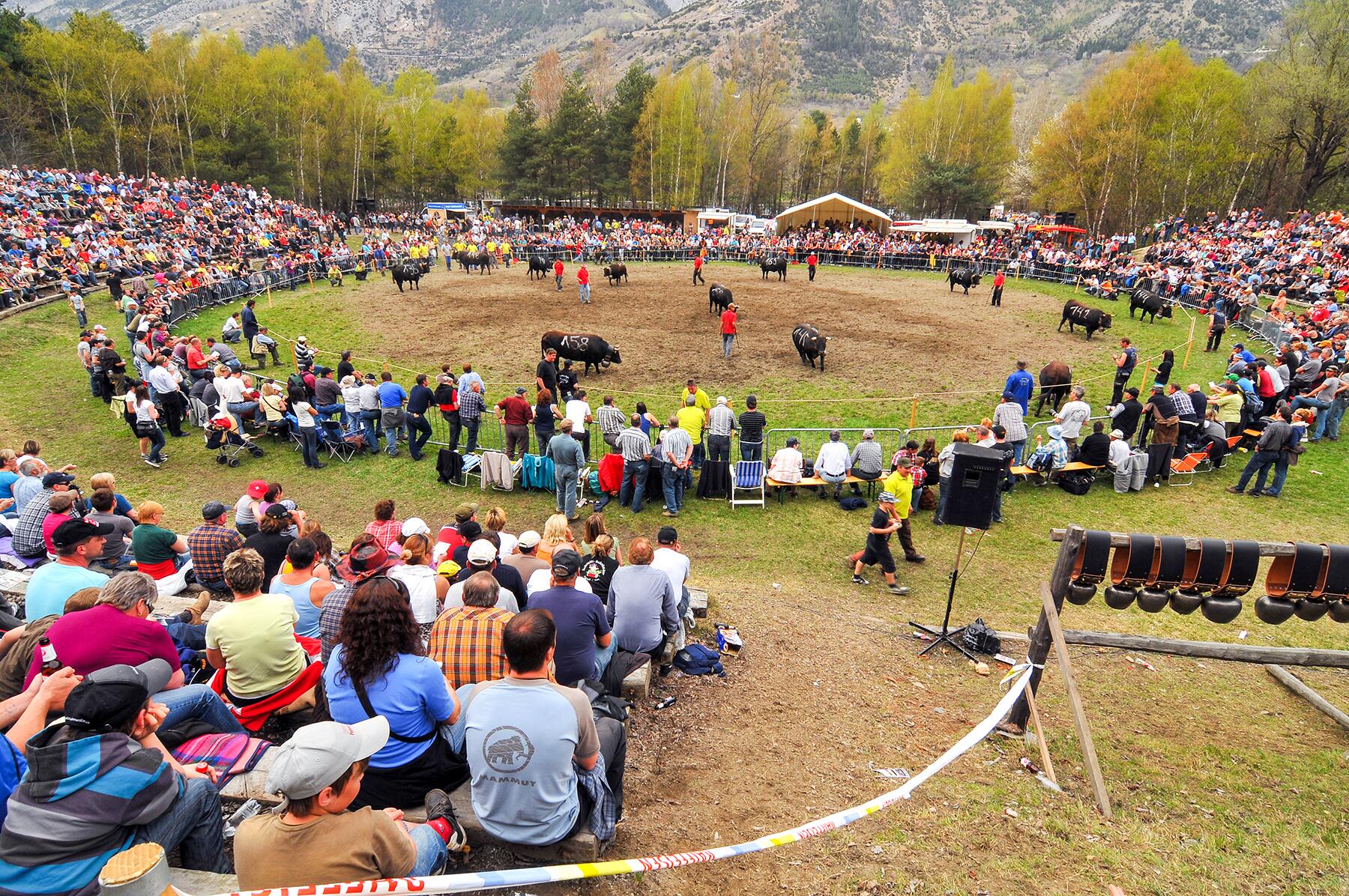 <a href='http://www.fodors.com/world/europe/switzerland/experiences/news/these-12-totally-bonkers-traditions-all-take-place-in-this-one-country#'>From "These 12 Totally Unique Traditions All Take Place in This One Country"</a>
