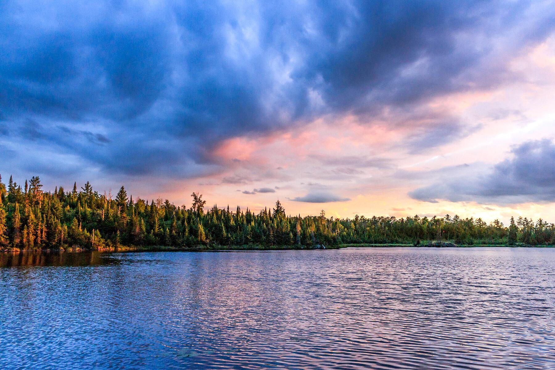 03_ForestsRanked__SuperiorNationalForest_shutterstock_579193069
