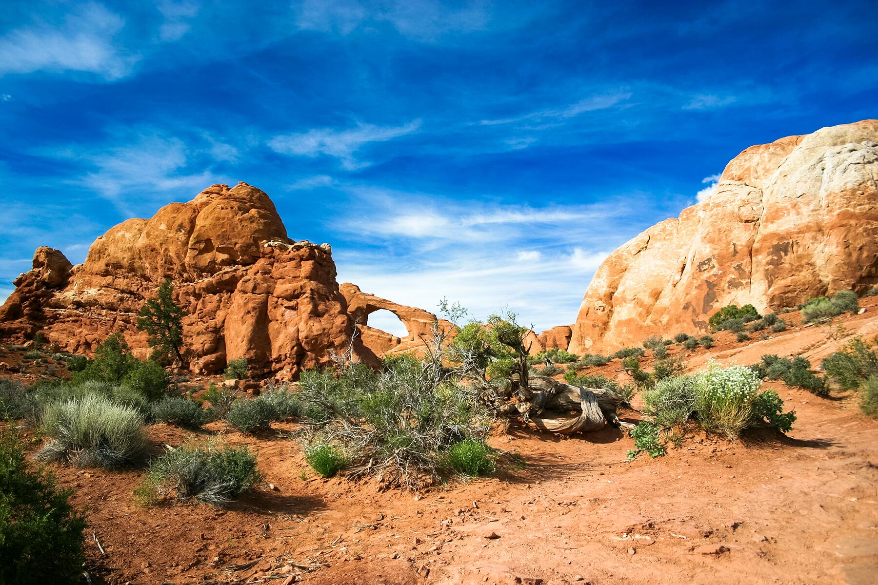 03_SafeSummerVacations__NationalParks_3 holger-link-zl5s9PePRfk-unsplash