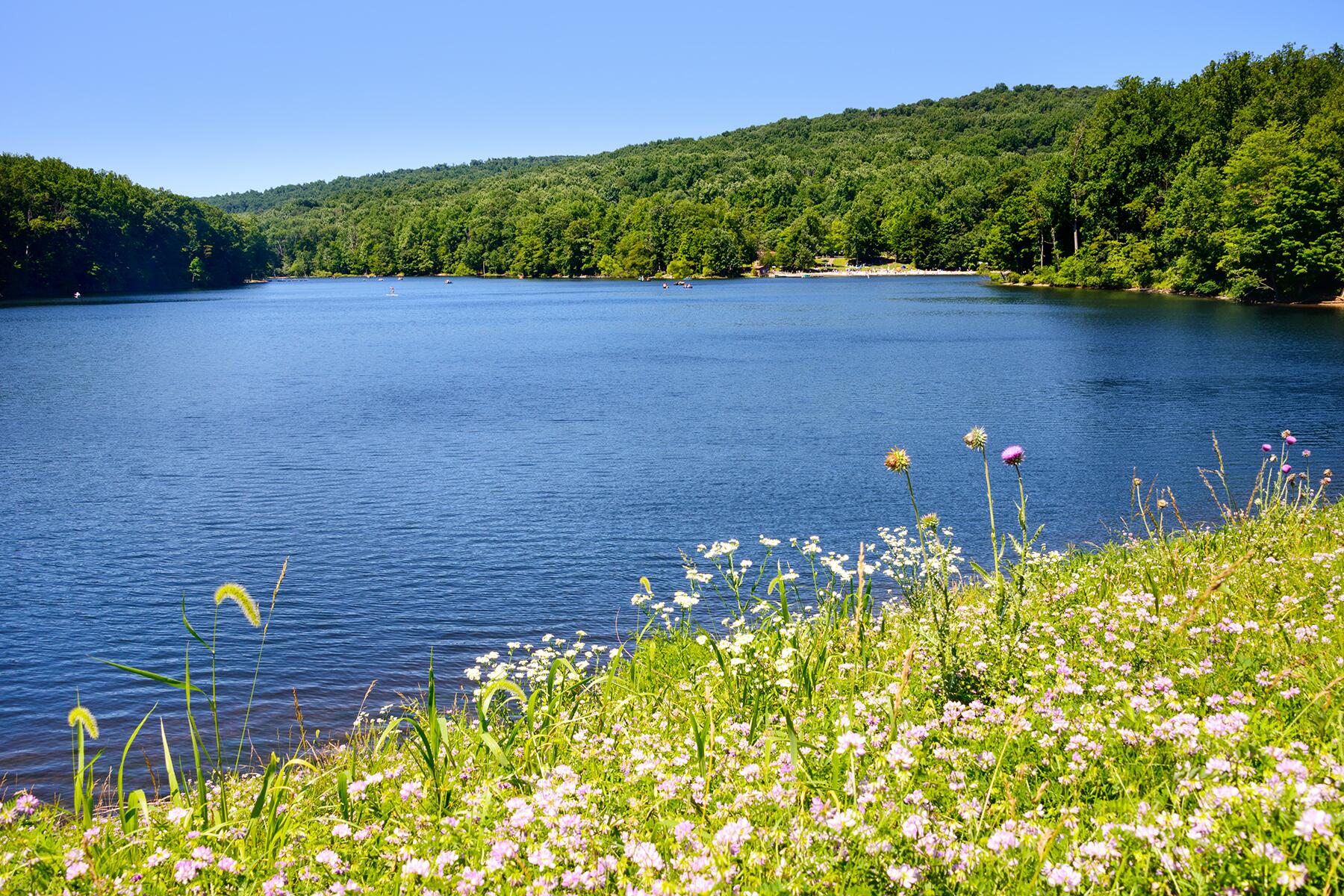 04_HiddenGemsofState__CunninghamFallsStatePark_shutterstock_302553587