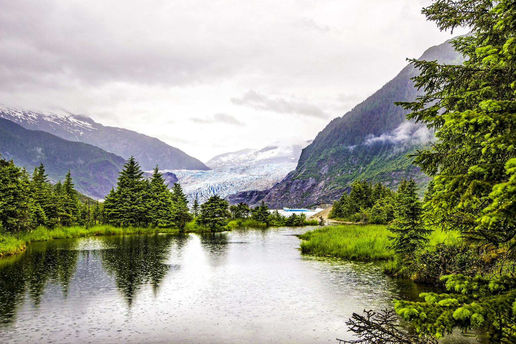 07_ForestsRanked__TingasNationalForest_shutterstock_403126324