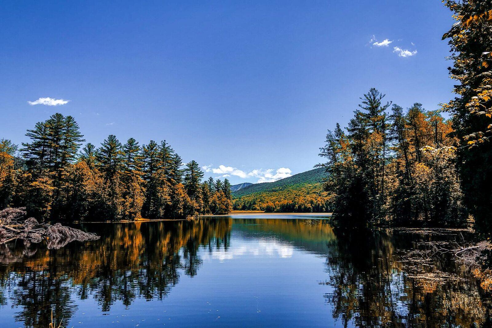 10 of the United States’ Most Beautiful Forests—Ranked