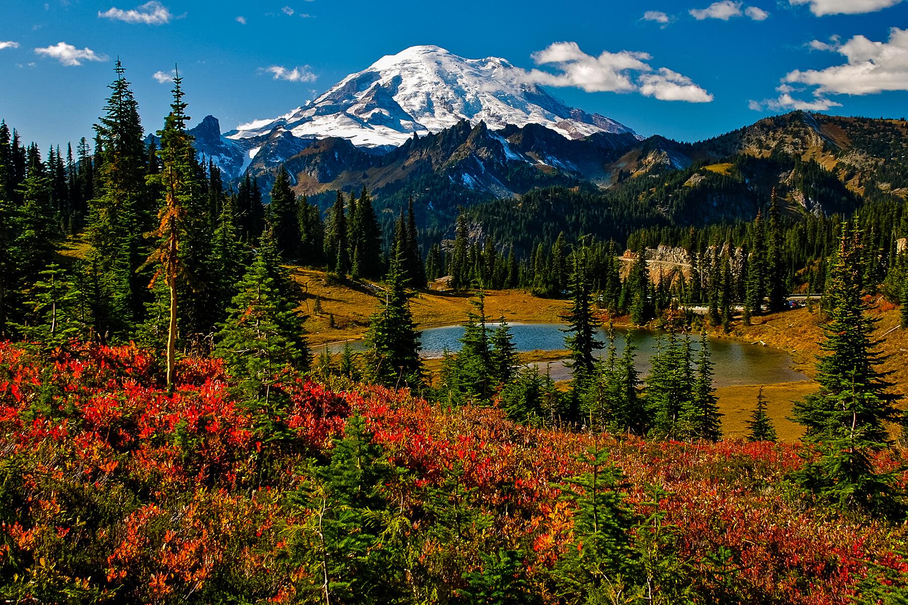 08_USVolcanoesRanked__MountRainier_8.) shutterstock_150673001