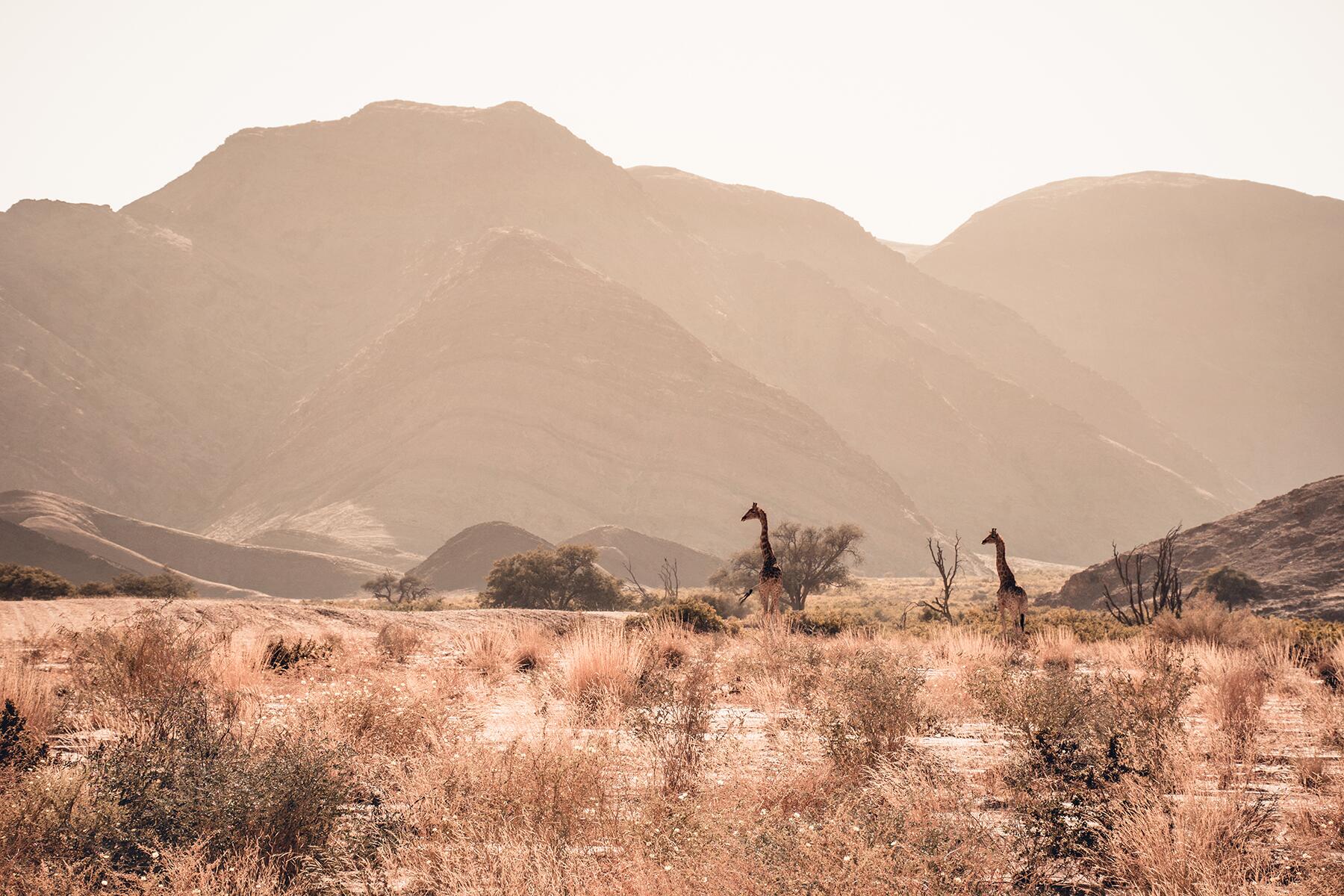 namibia 6