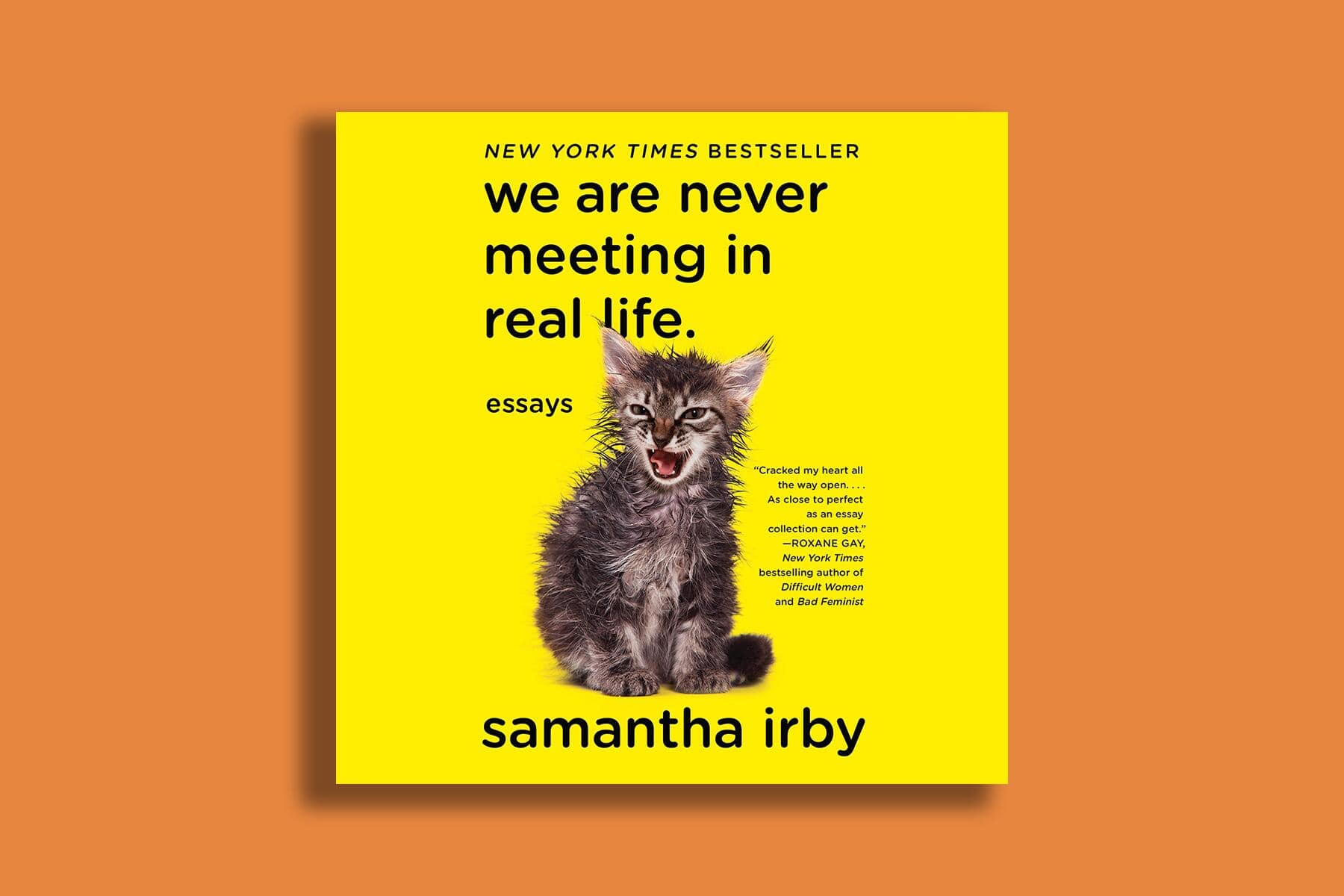 02_RoadTripAudiobooks__WeAreNeverMeetingInRealLife_2 81ex-59-D-L_copy