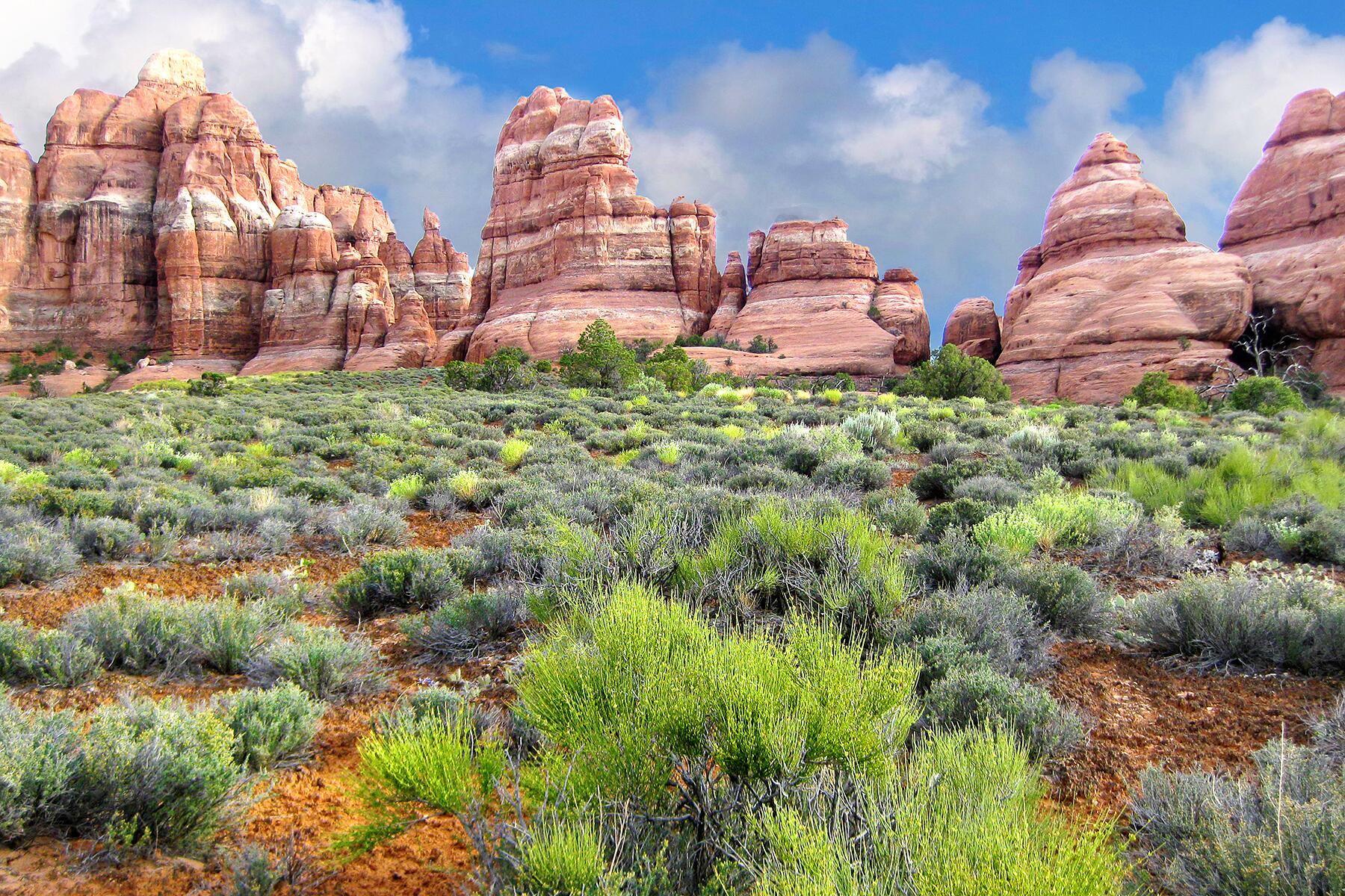 Canyonlands National Park: Island in the Sky to Canyonlands National Park: The Needles, Utah