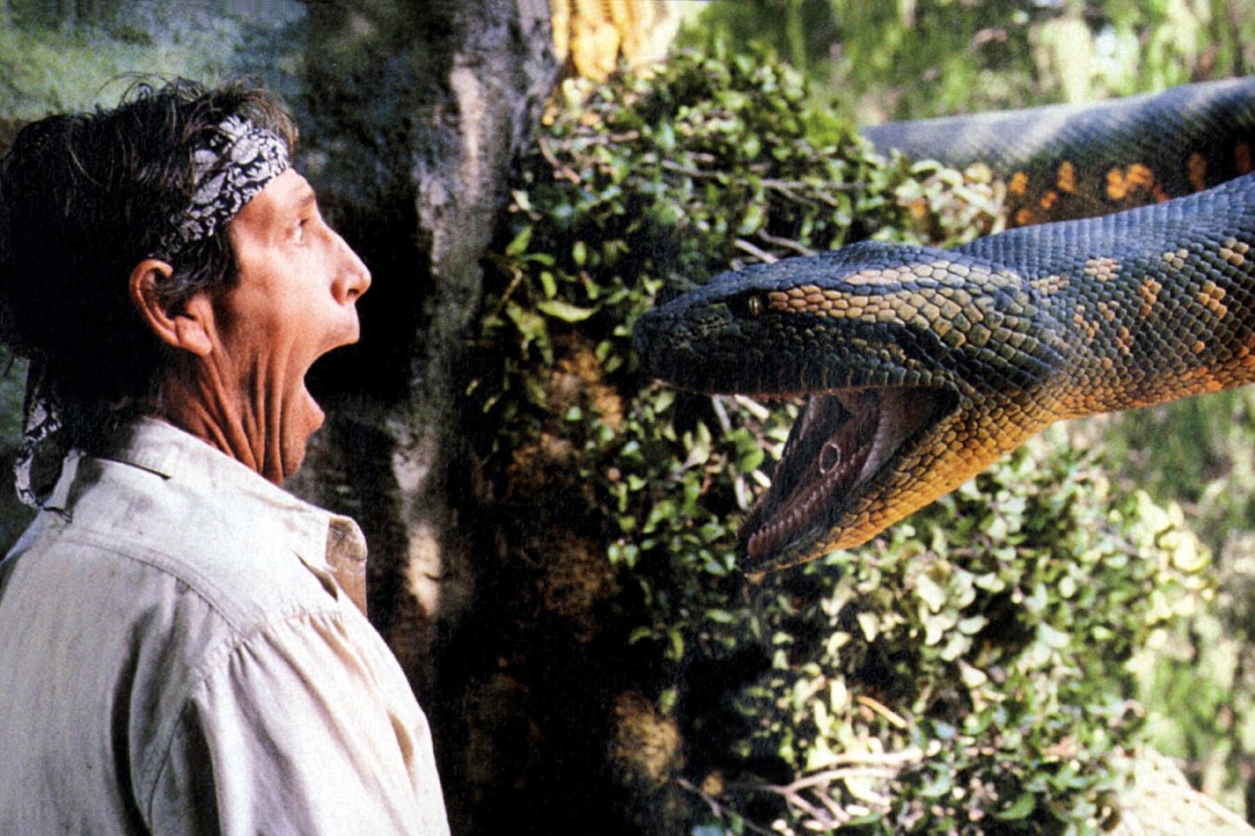 05_CruiseHorrorFilms__Anaconda_H89MBJ