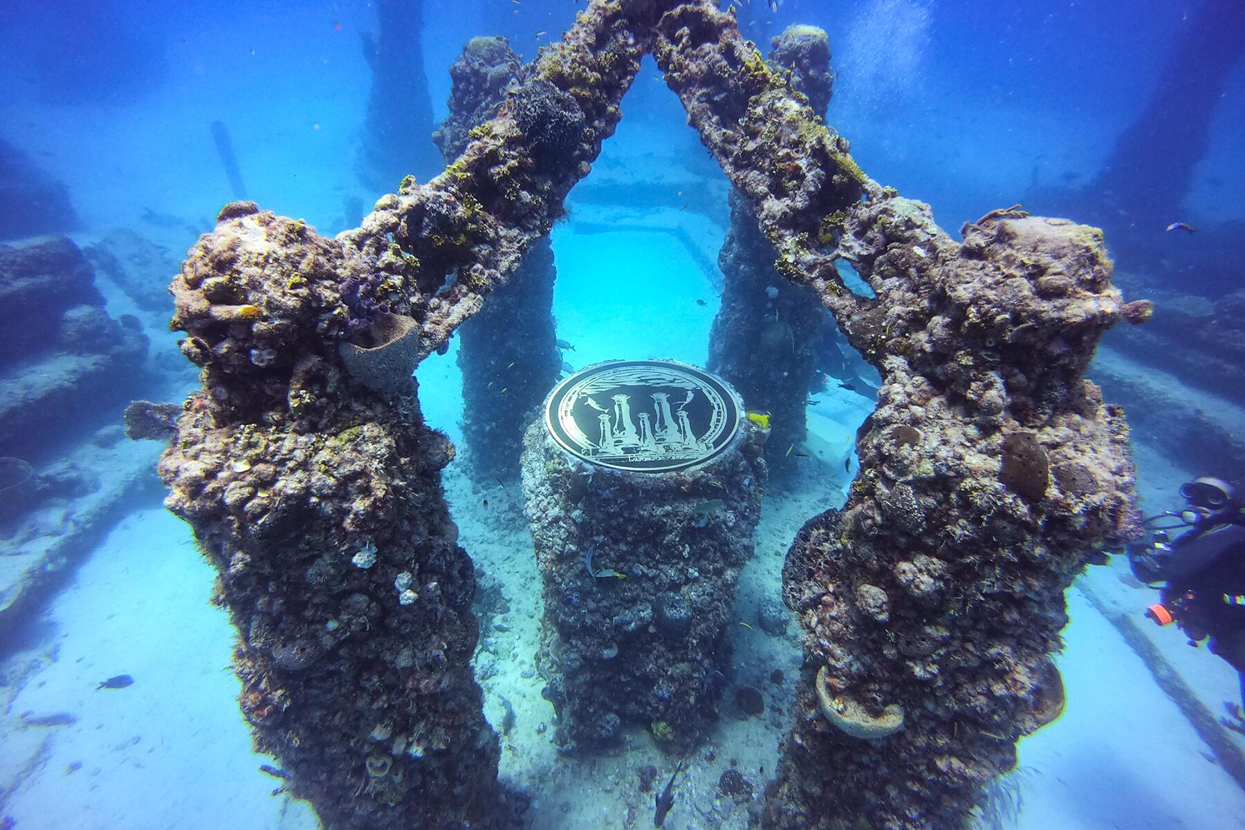 10_SecretFlorida__NeptuneMemorialReef_10 93407186_2907854149296060_3420988403846479872_o