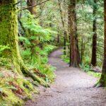 Olympic National Park to Lewis and Clark National Historical Park, Oregon