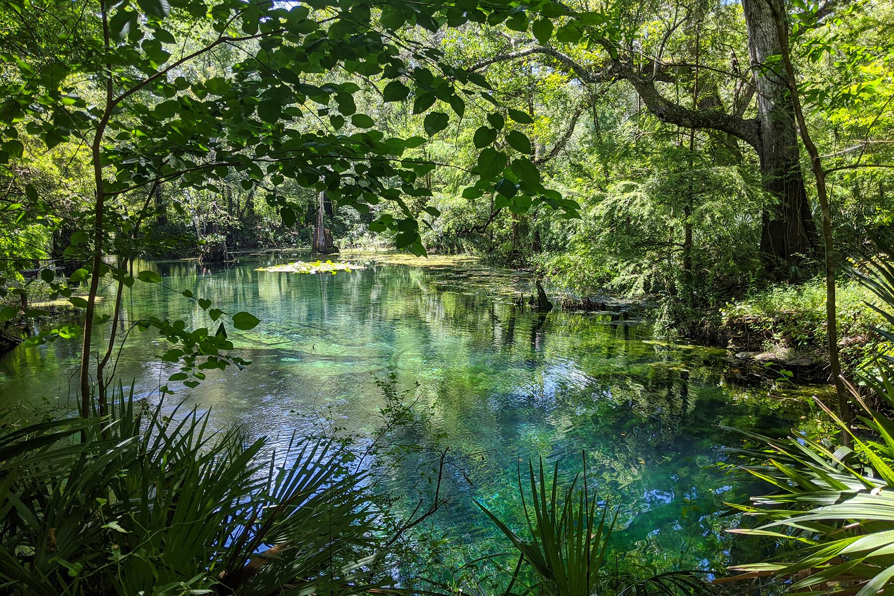 08_Floriduh__Sinkholeland_shutterstock_1779308600