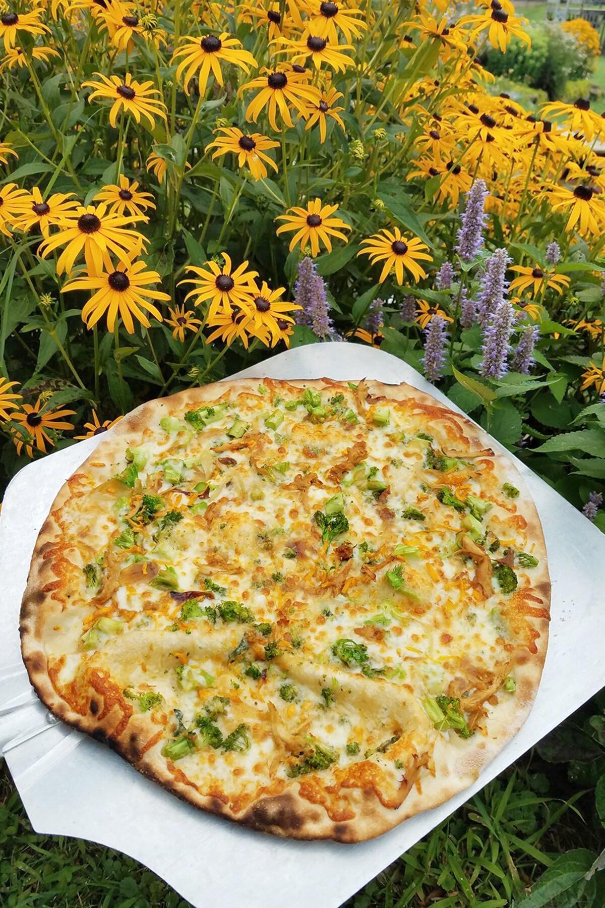 10 Pizza Farms in Wisconsin