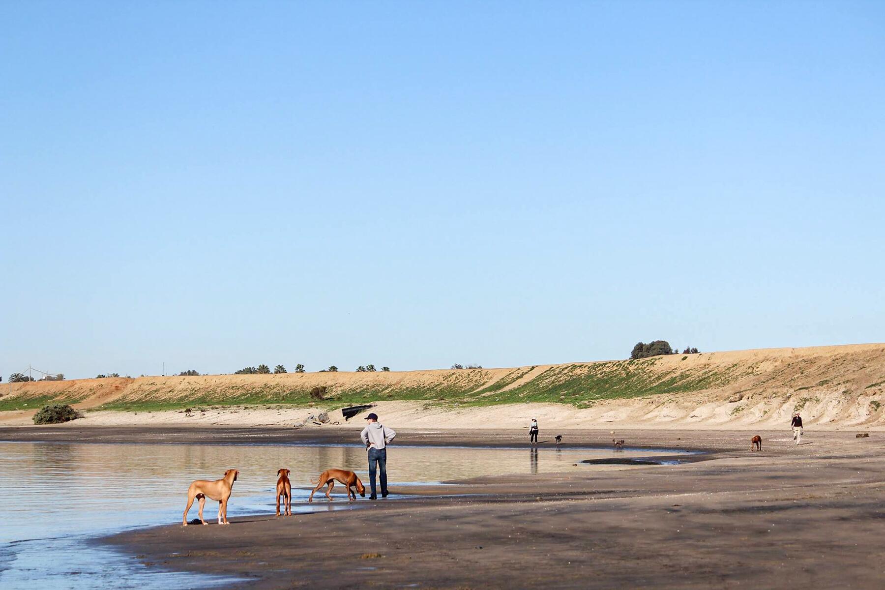The 10 Best Dog Parks in the United States