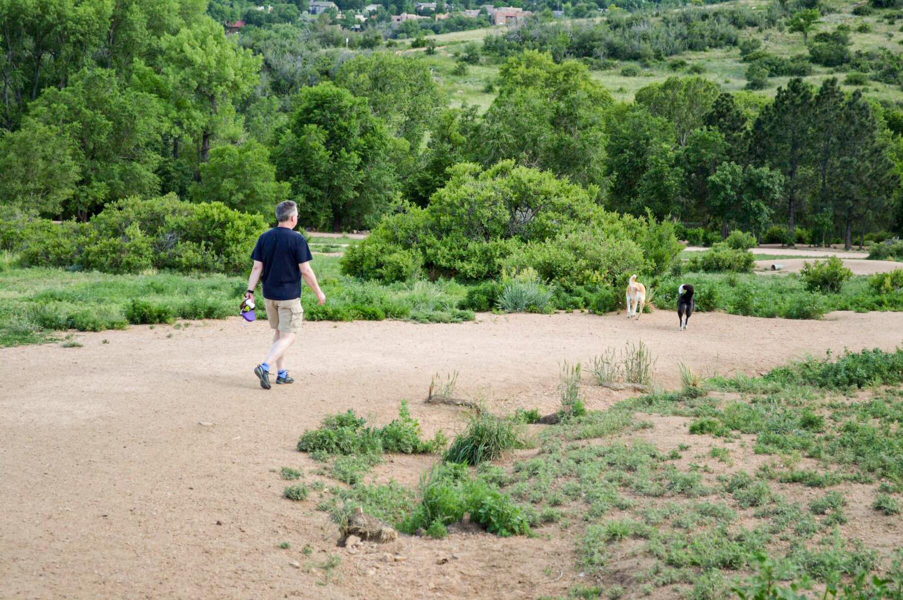 09_DogParkDestination__BearCreelDogPark_9.) BCDP 3