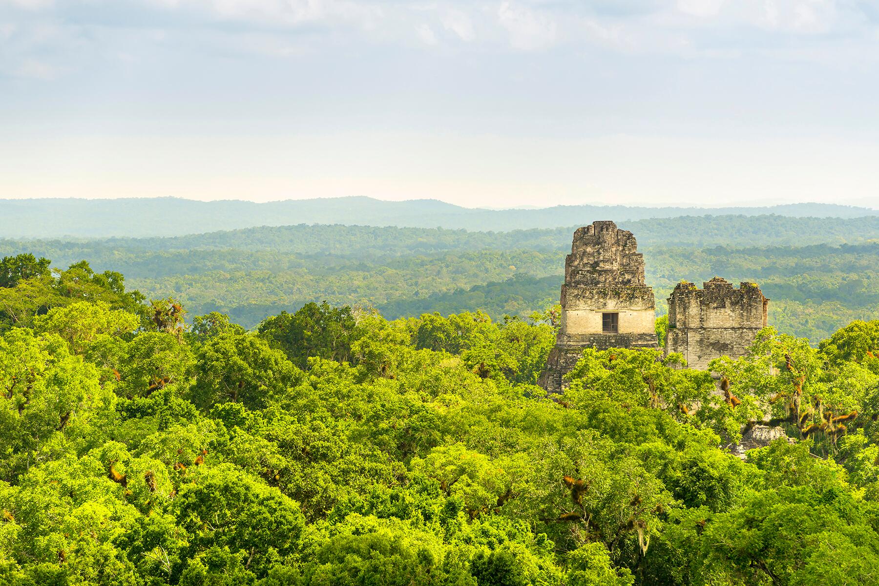 10_SurvivorLocations__PetenGuatemala_shutterstock_1054763018
