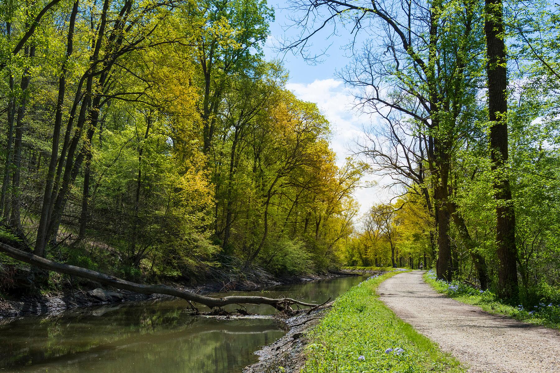 12_ScenicBikePaths__CanalTowpath_shutterstock_1021860238