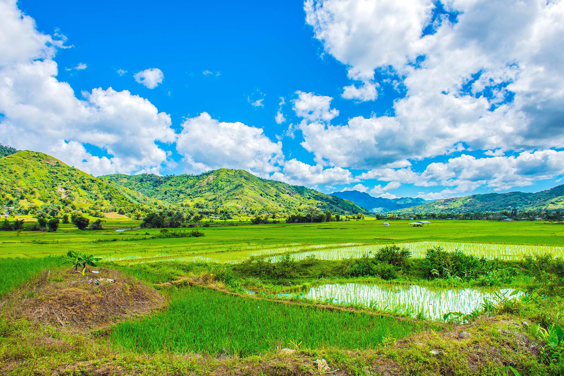 21_SurvivorLocations__CagayanPhilipiines_shutterstock_1029041578