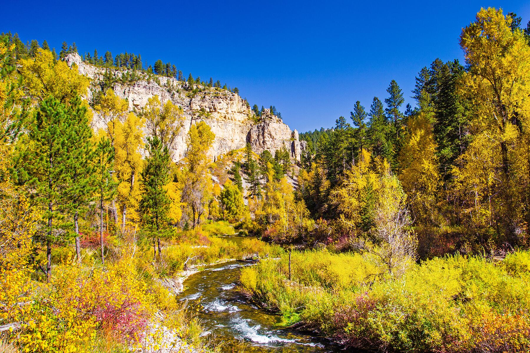 02_UnexpectedPlacesForFallFoliage__BlackHillsNationalForest_dreamstime_xxl_79127763