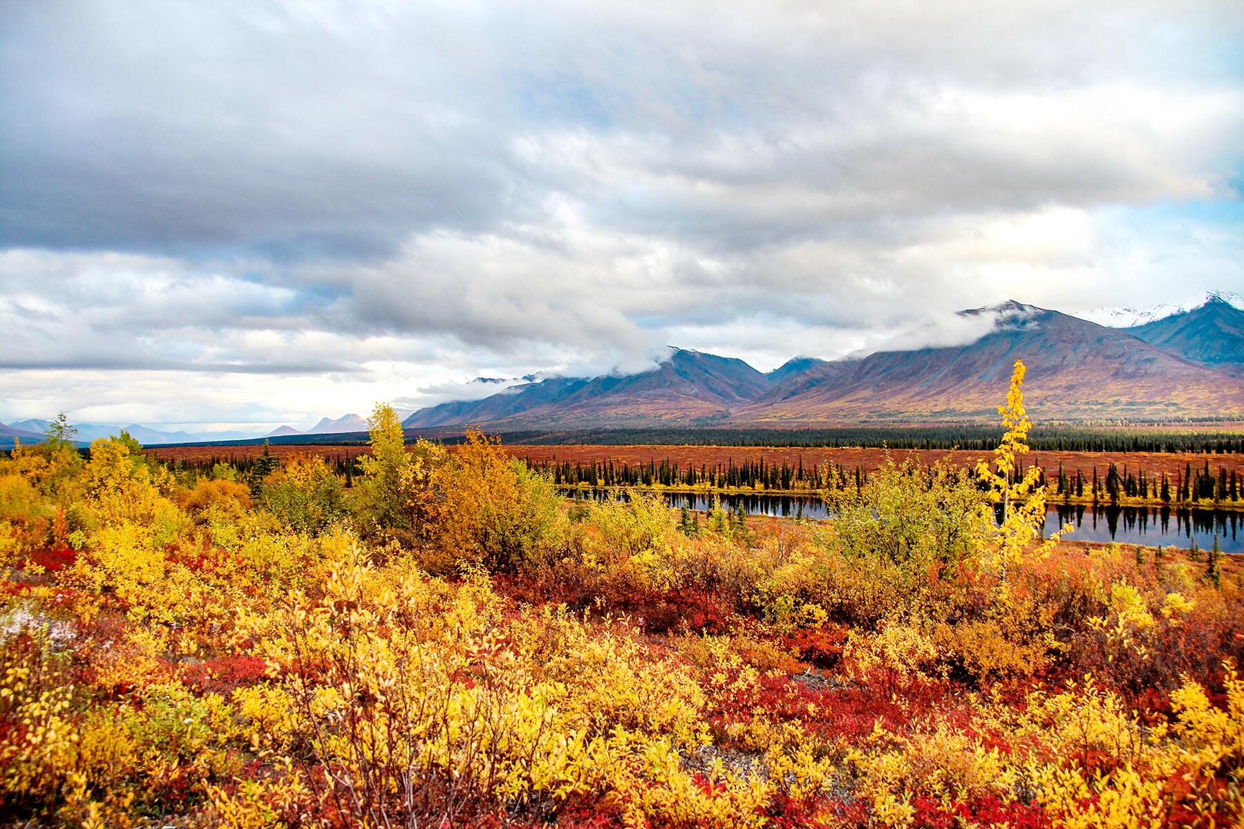 07_UnexpectedPlacesForFallFoliage__DenaliNationalPark_shutterstock_592619261