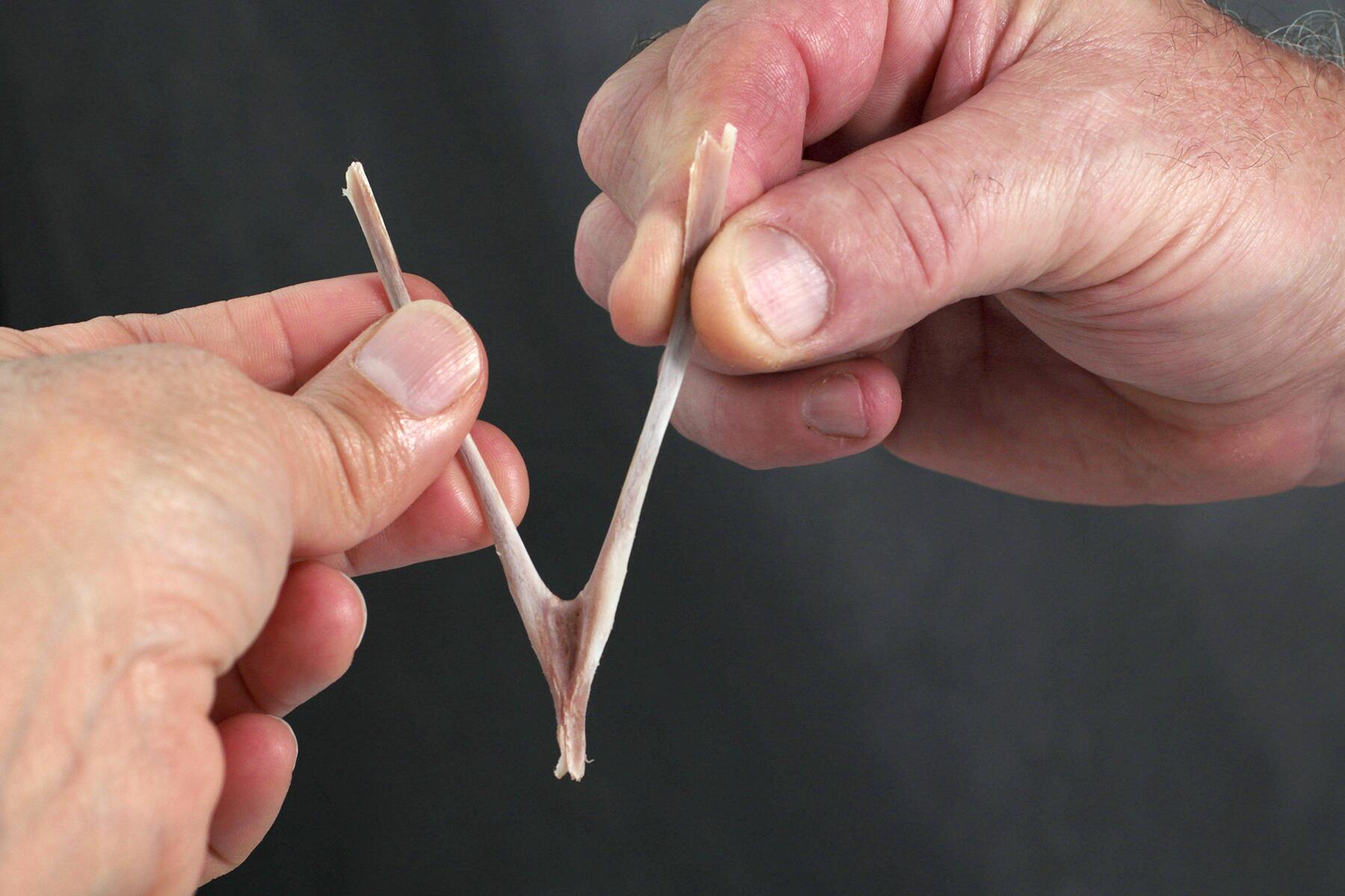 08_WeirdThanksgivingTraditions__Wishbone_shutterstock_1240228906