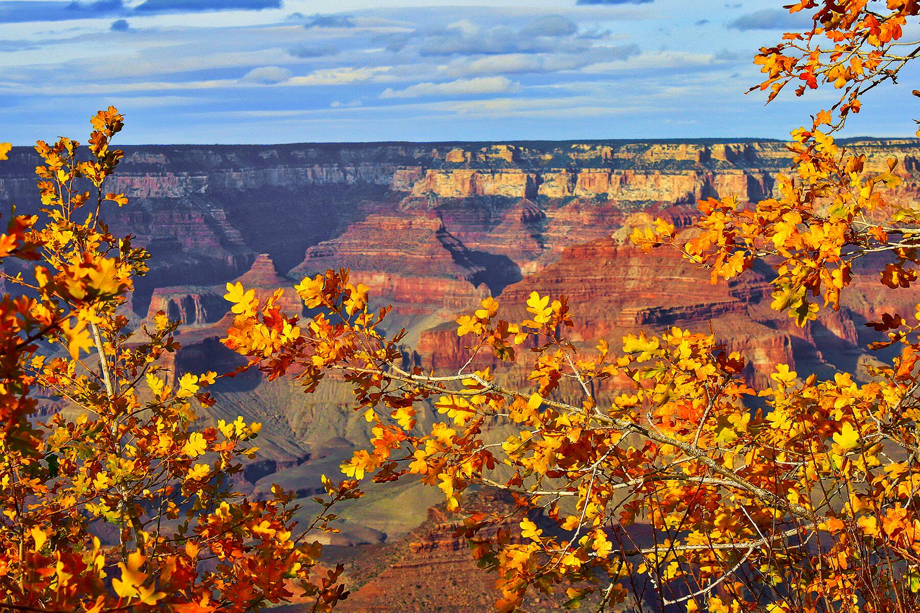 09_UnexpectedPlacesForFallFoliage__TheGrandCanyon_dreamstime_xxl_107042569
