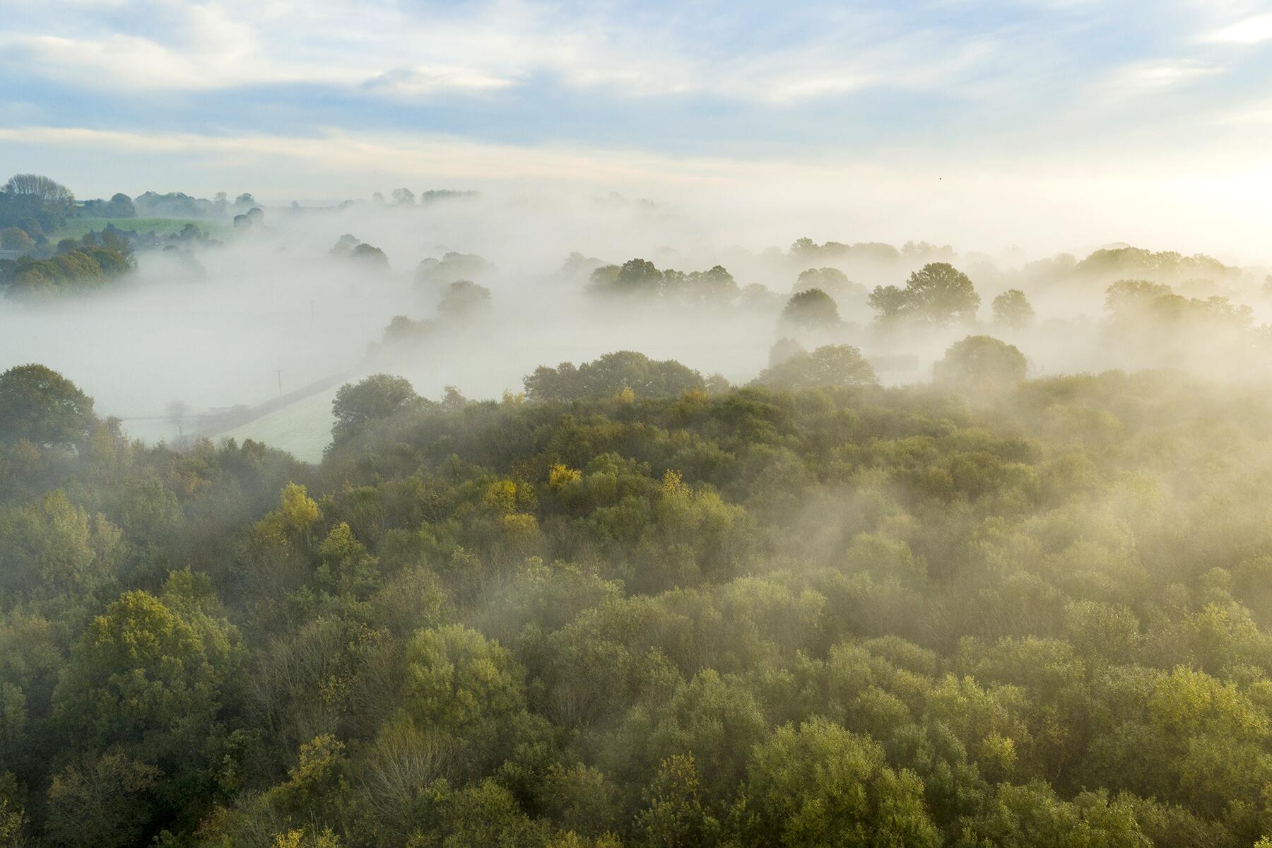 10_Hauntedforests__DeringWoods_shutterstock_745713547