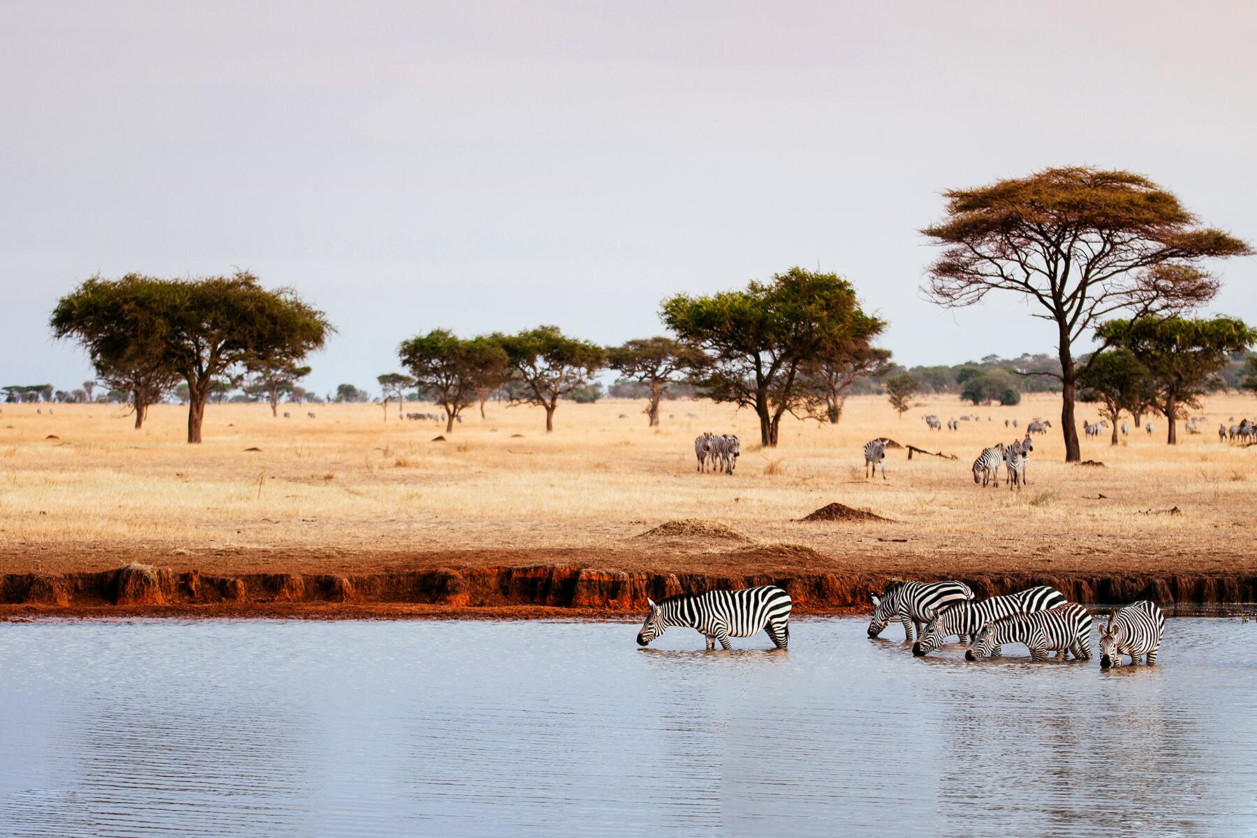 11_PlacesAmericansCanEasilyTravelTo__Tanzania_shutterstock_1531471328